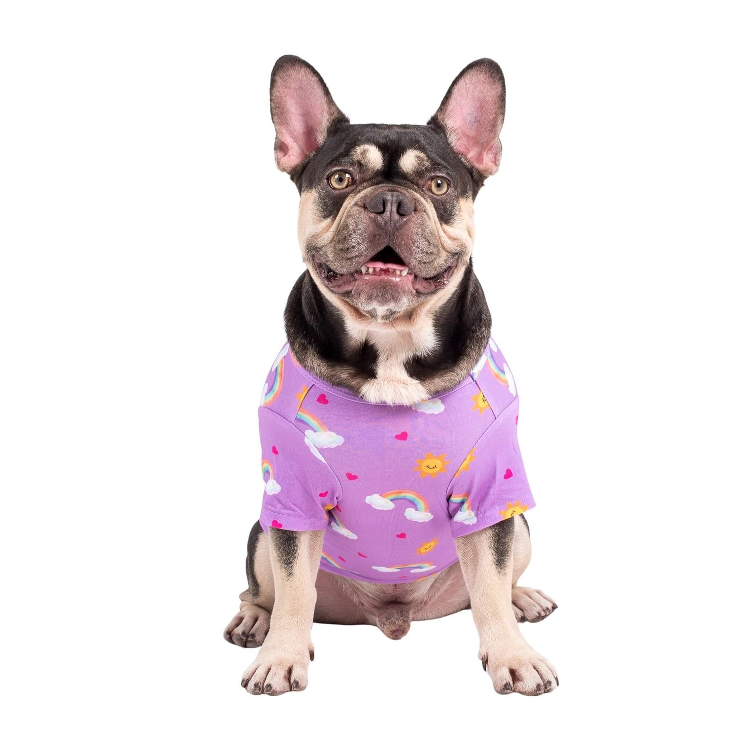 A French Bulldog standing front on wearing Vibrant Hound's Chasing Rainbow pyjamas for dogs. The dog shirt is purple with rainbows, bright suns, and love hearts printed on it.
