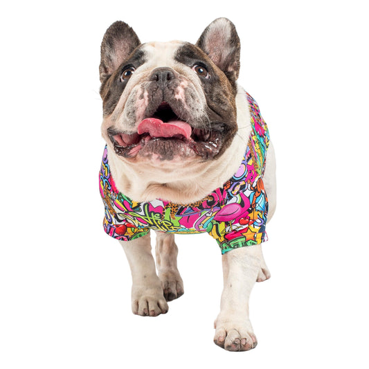 A French Bulldog walkign towards the camera. He is wearing a Vibrant Hound writting on the wall shirt for dogs.