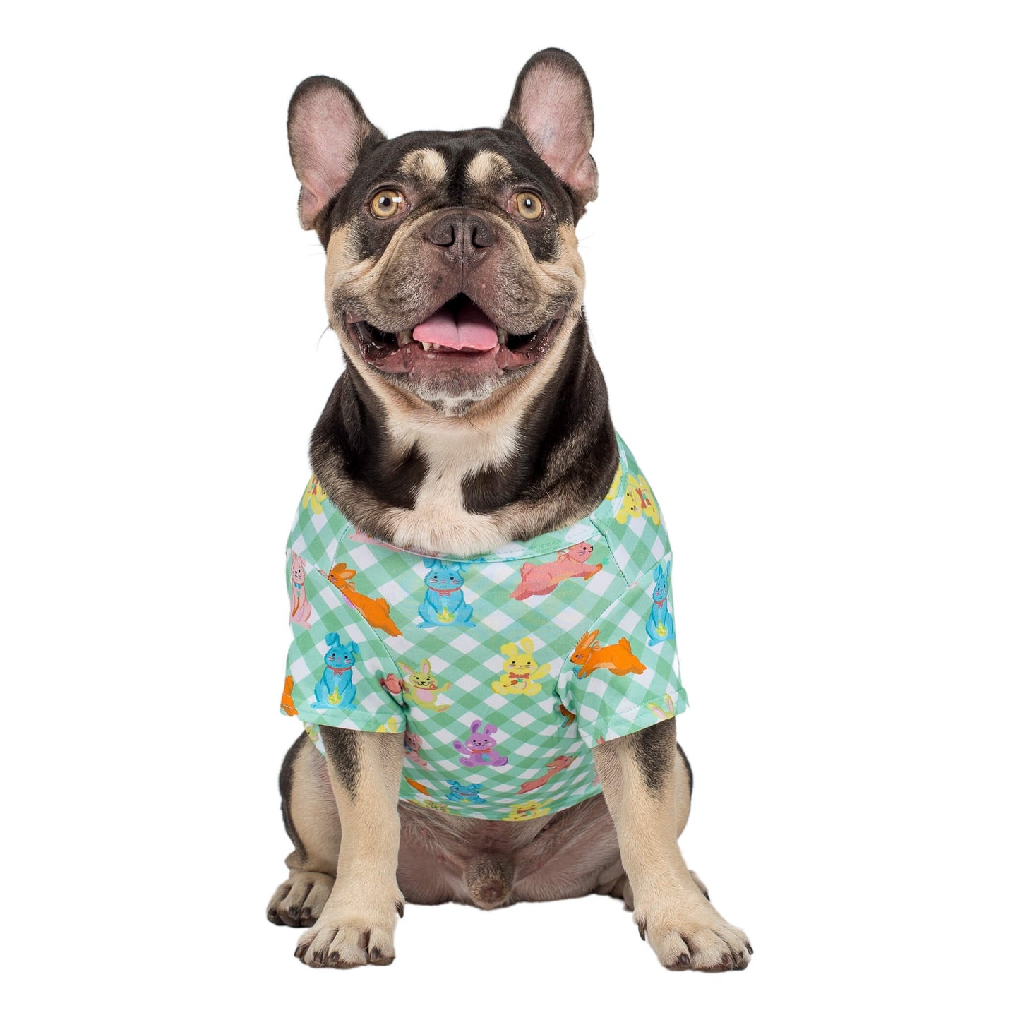 Rainbow Rabbit Easter dog shirt