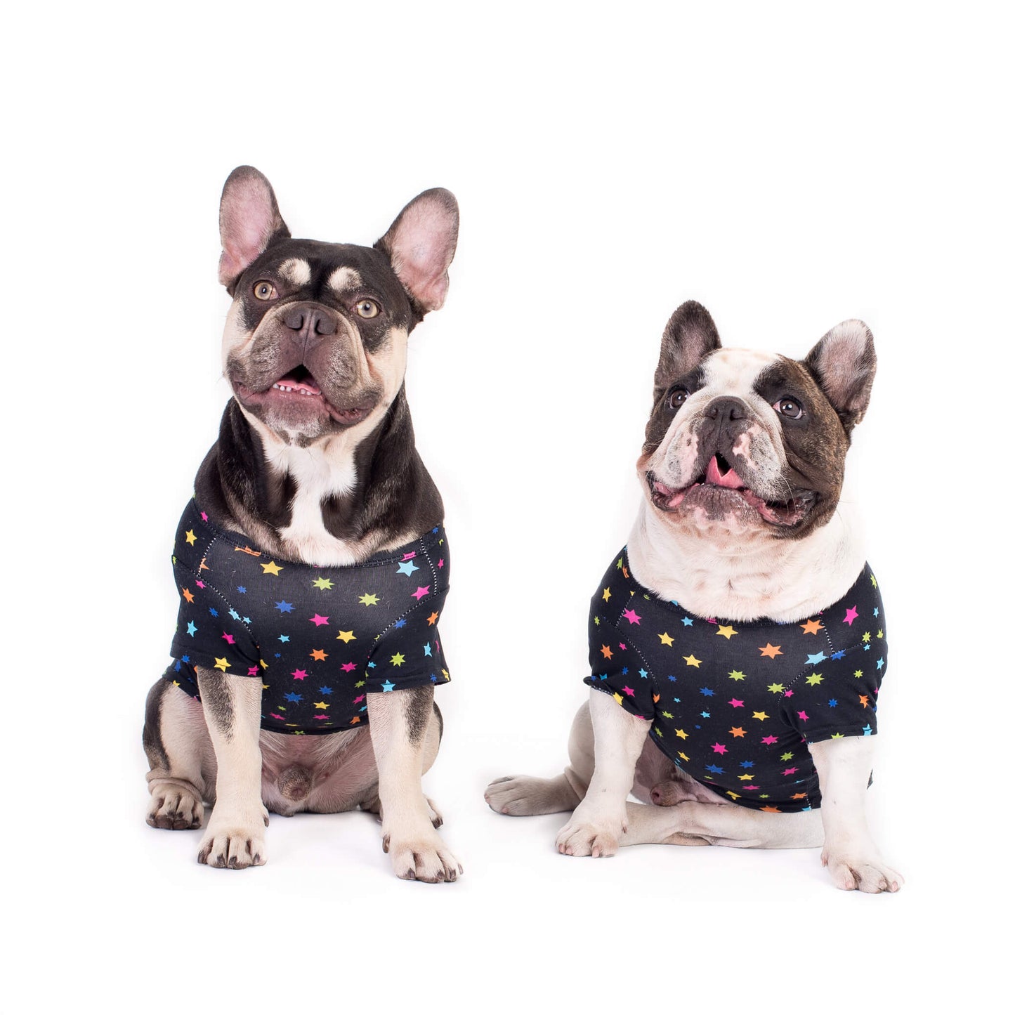 Two French Bulldogs in Star Gazer Dog Shirts - Pair of adorable French Bulldogs wearing black shirts with bright multi-colored stars - Double the style with the star gazer shirts - Shop now for trendy dog shirts and clothing with eye-catching designs.