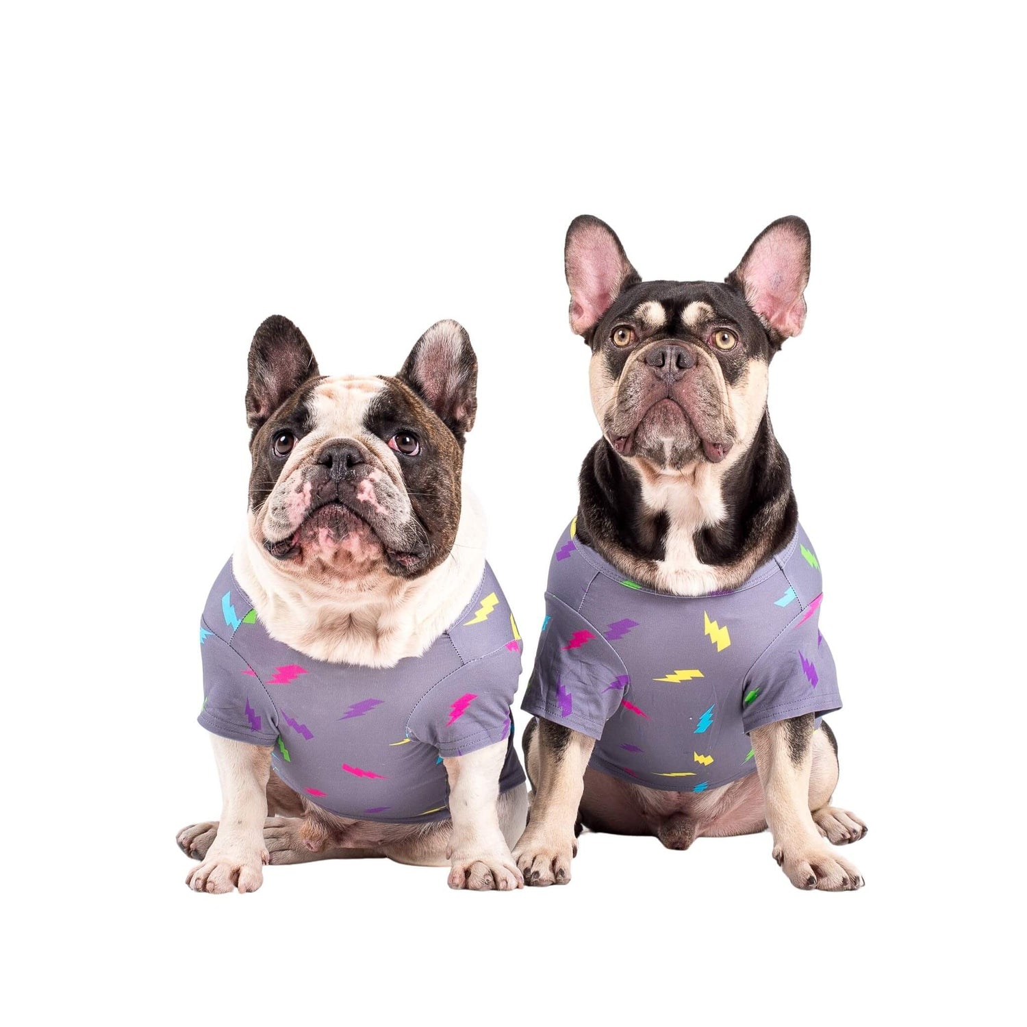 Two French Bulldogs wearing Vibrant Hound's Electric Energy dog shirt. This shirt is grey with multi coloured lightning bolts. 