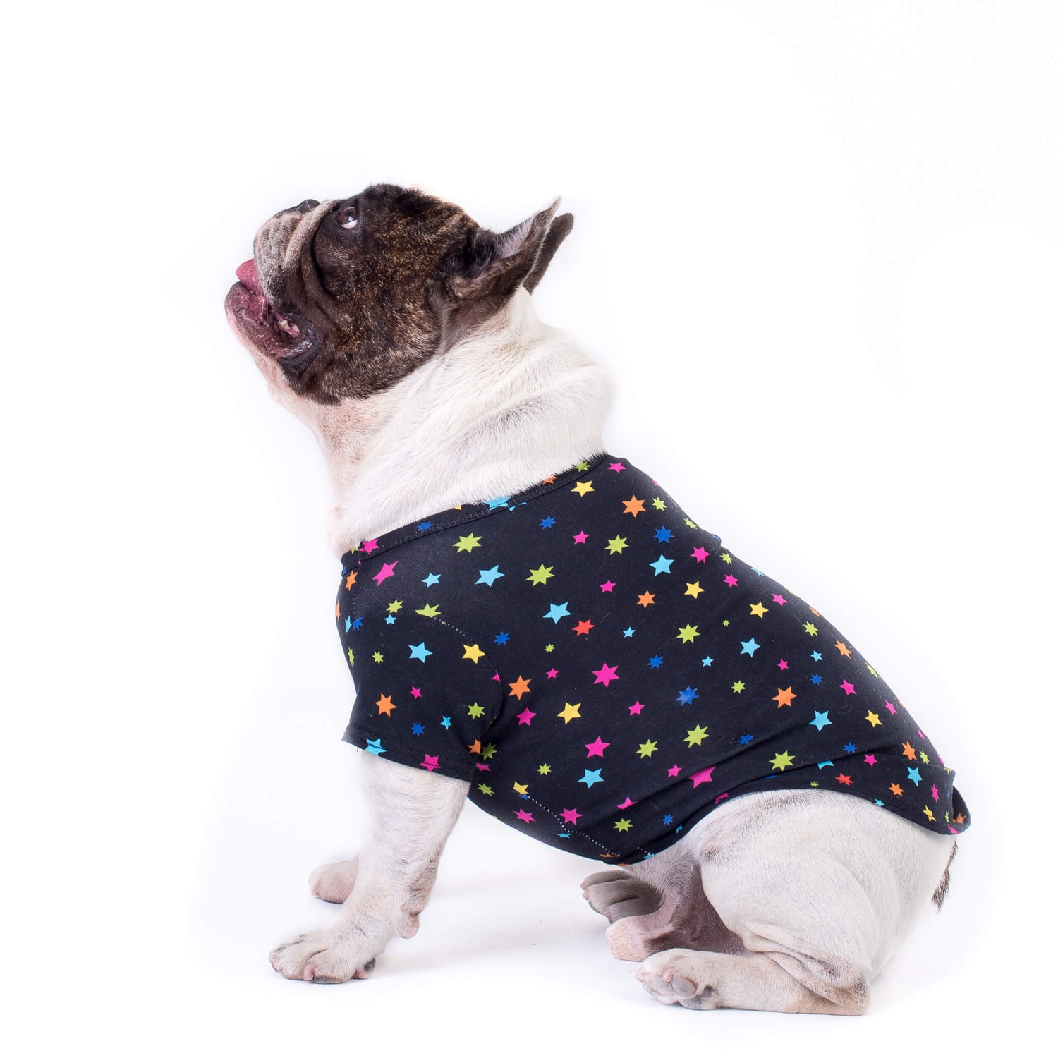 French Bulldog in star gazer dog shirt - Charming French Bulldog standing sideways in a black shirt with bright multi-colored stars - Enhance your Frenchie's style with the star gazer shirt - Shop now for trendy dog shirts and clothing with eye-catching designs.
