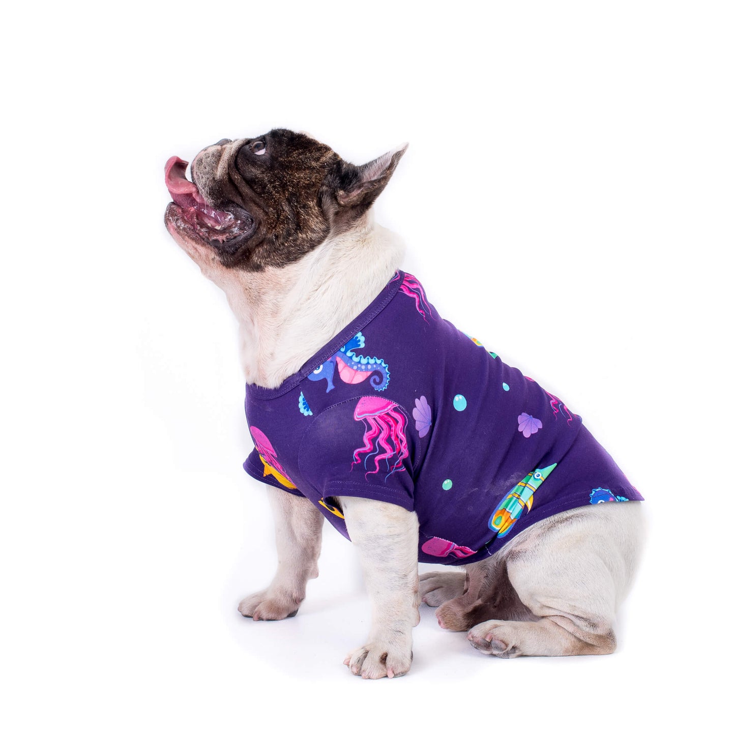 French bulldog side profile wearing magic sea dog shirt