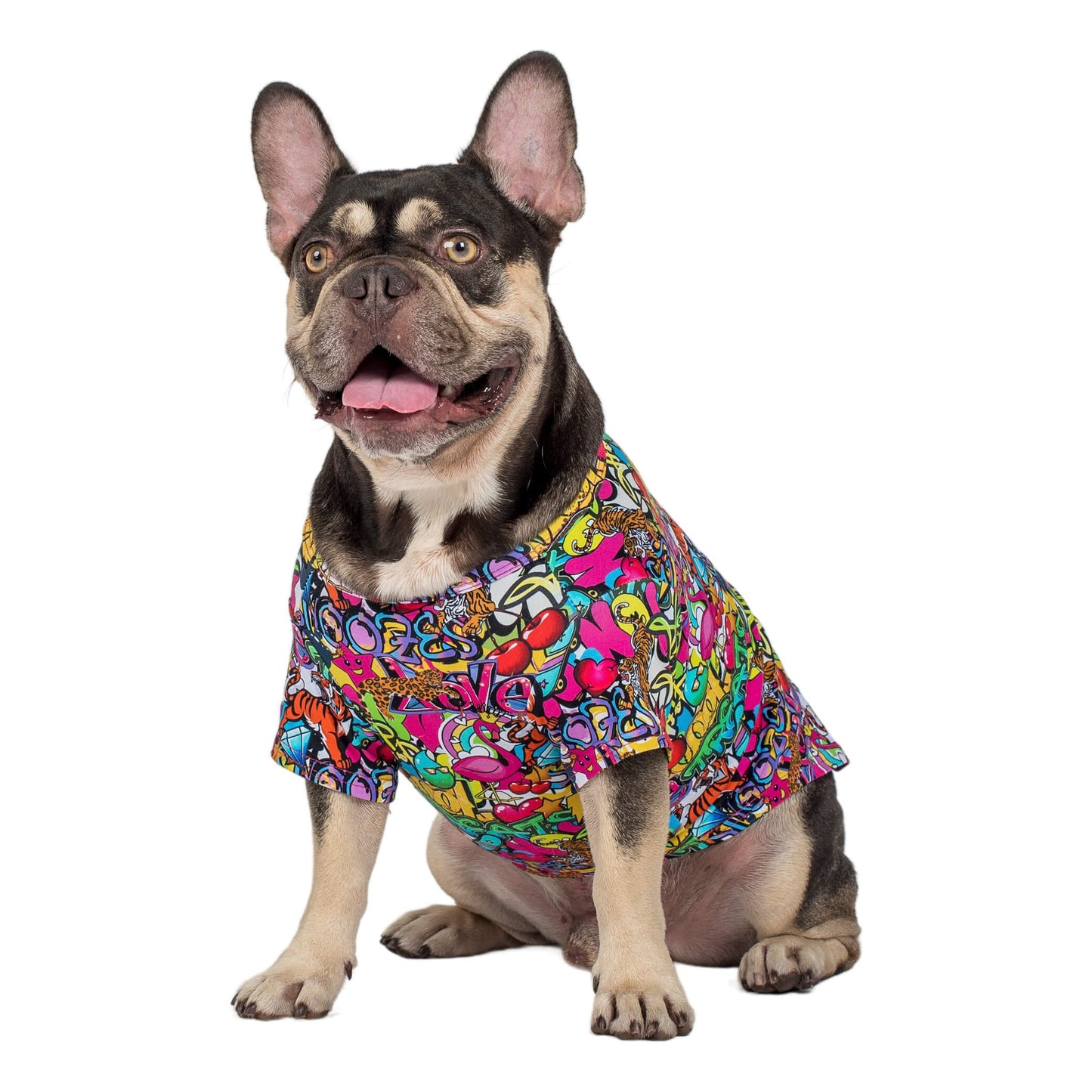 A chocolate and ten French Bulldog wearing  Vibrant Hound's Writting on the wall shirt for dogs. It is covered in a bright coloured graffiti print featuring Skate boards, lions, tigets and flamingos.