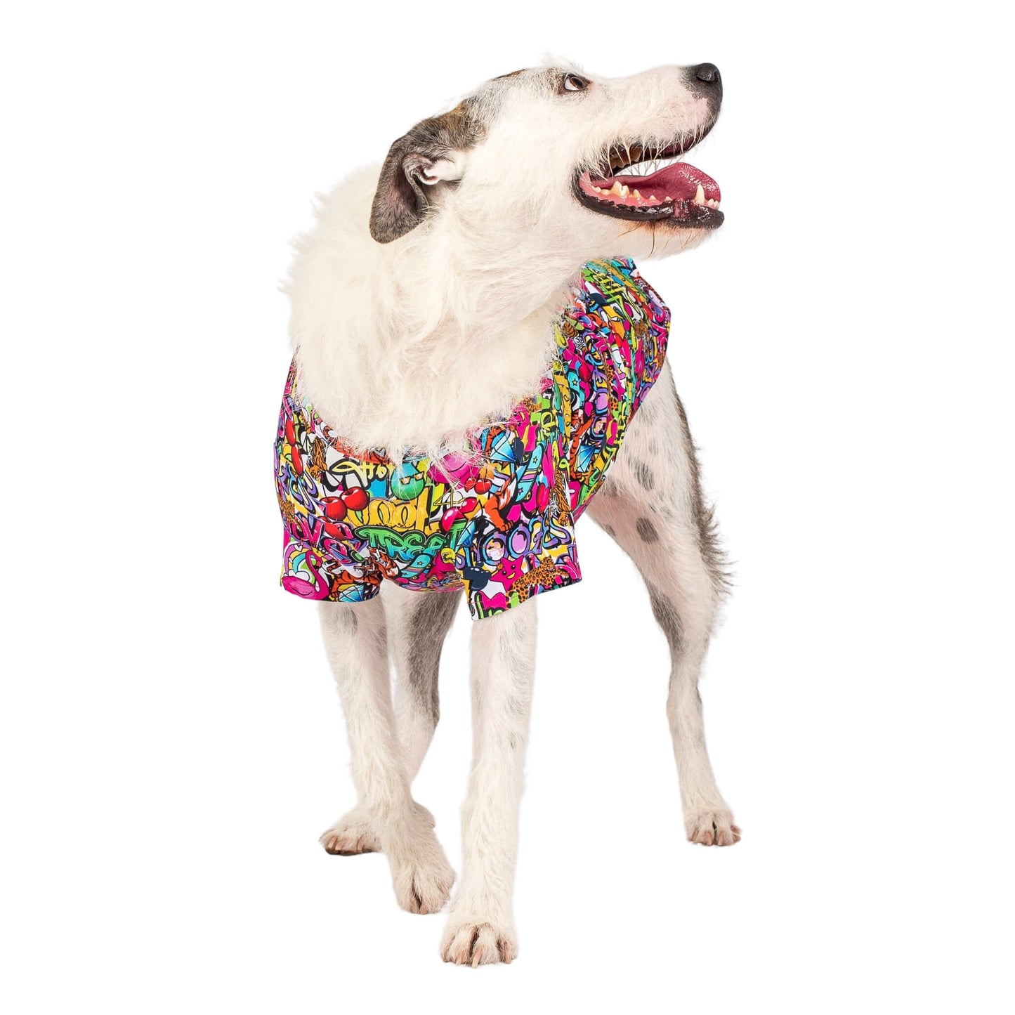 A dog standing wearing Vibrant Hound's Writting on the wall shirt for dogs. It is covered in a bright coloured graffiti print featuring Skate boards, lions, tigets and flamingos.