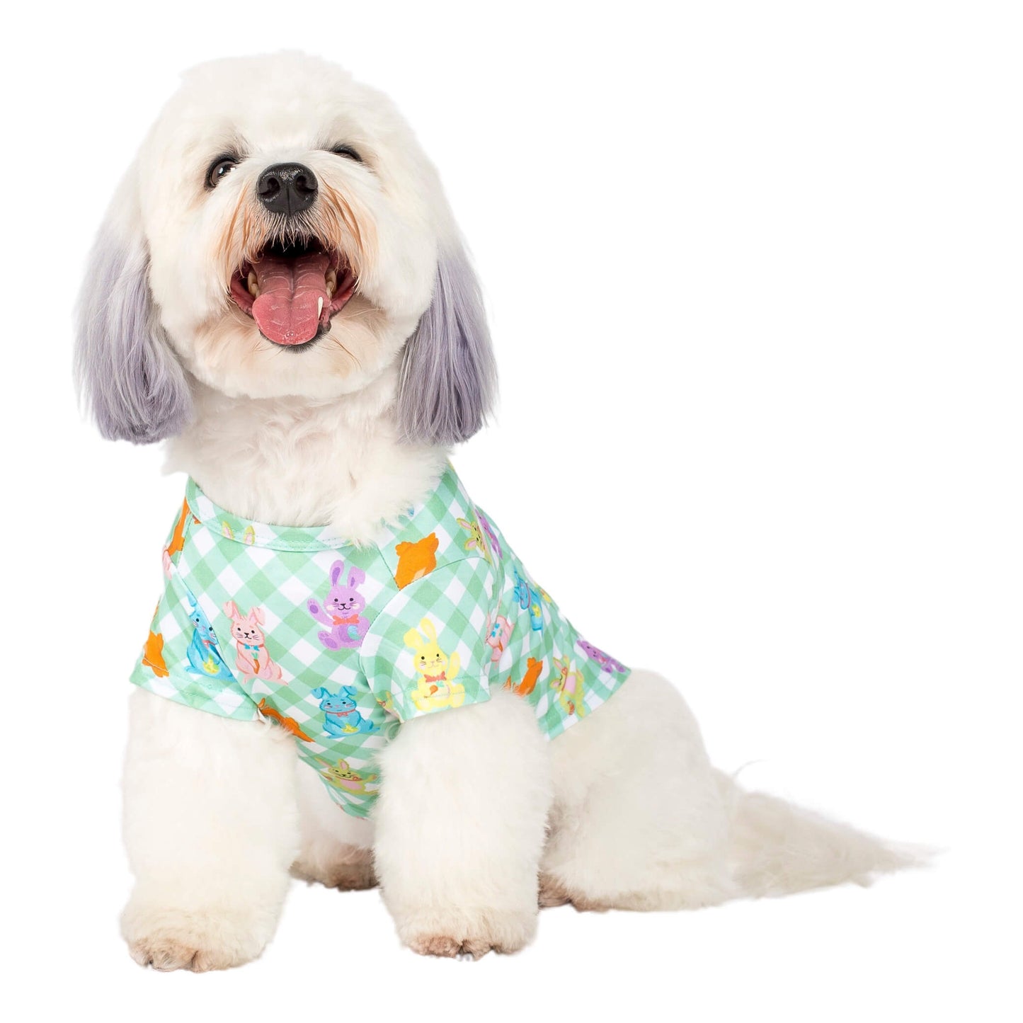 Rainbow Rabbit Easter dog shirt