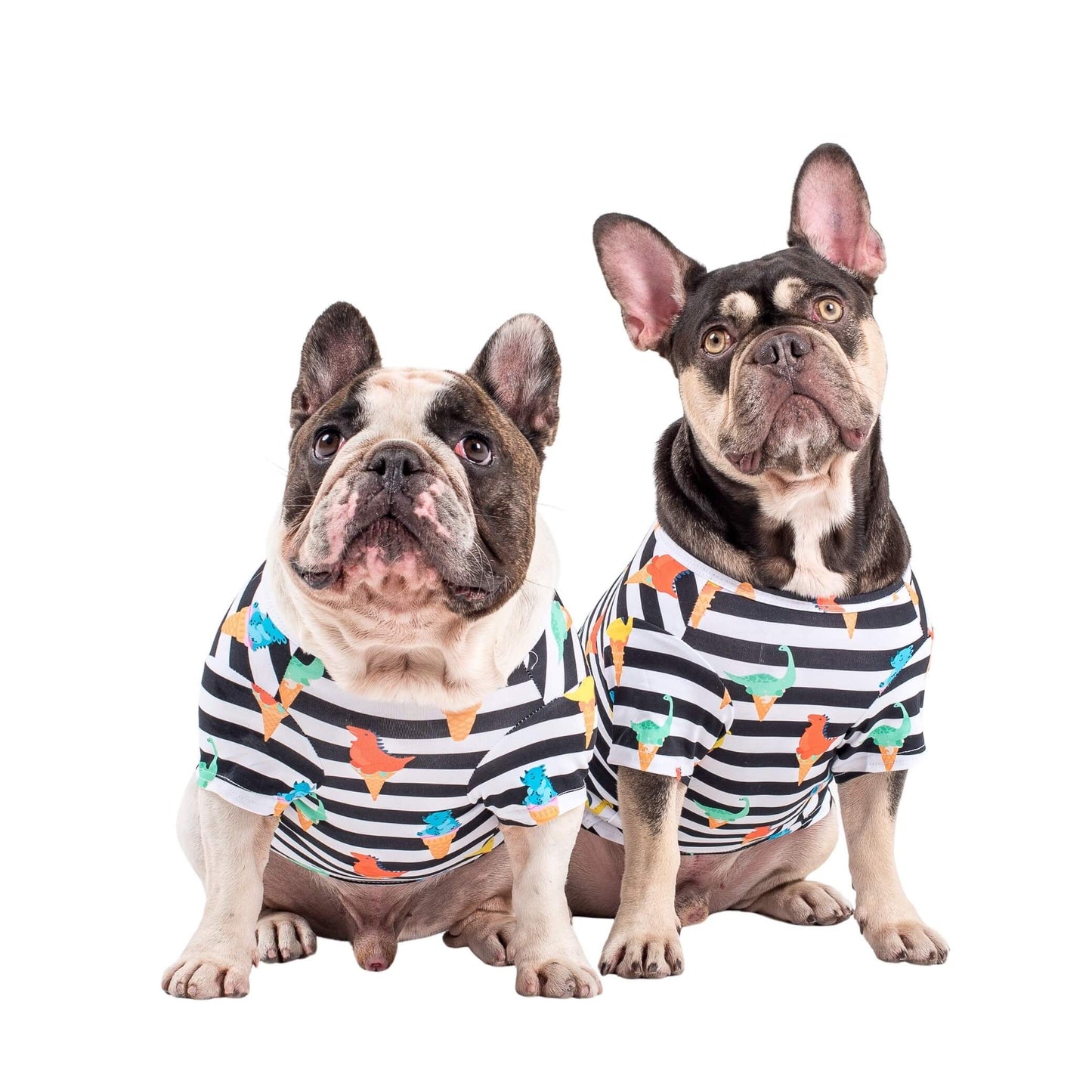Two French Bulldogs standing front on. They are wearing dog shirts made by Vibrant Hound. The shirts are black and white stripes with dinosaurs standing on ice creams printed on them.
