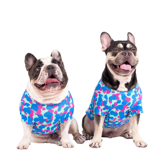 A French Bulldog duo wearing Vibrant Hound Painted on dog tee. It is printed with blue and pink blobs.
