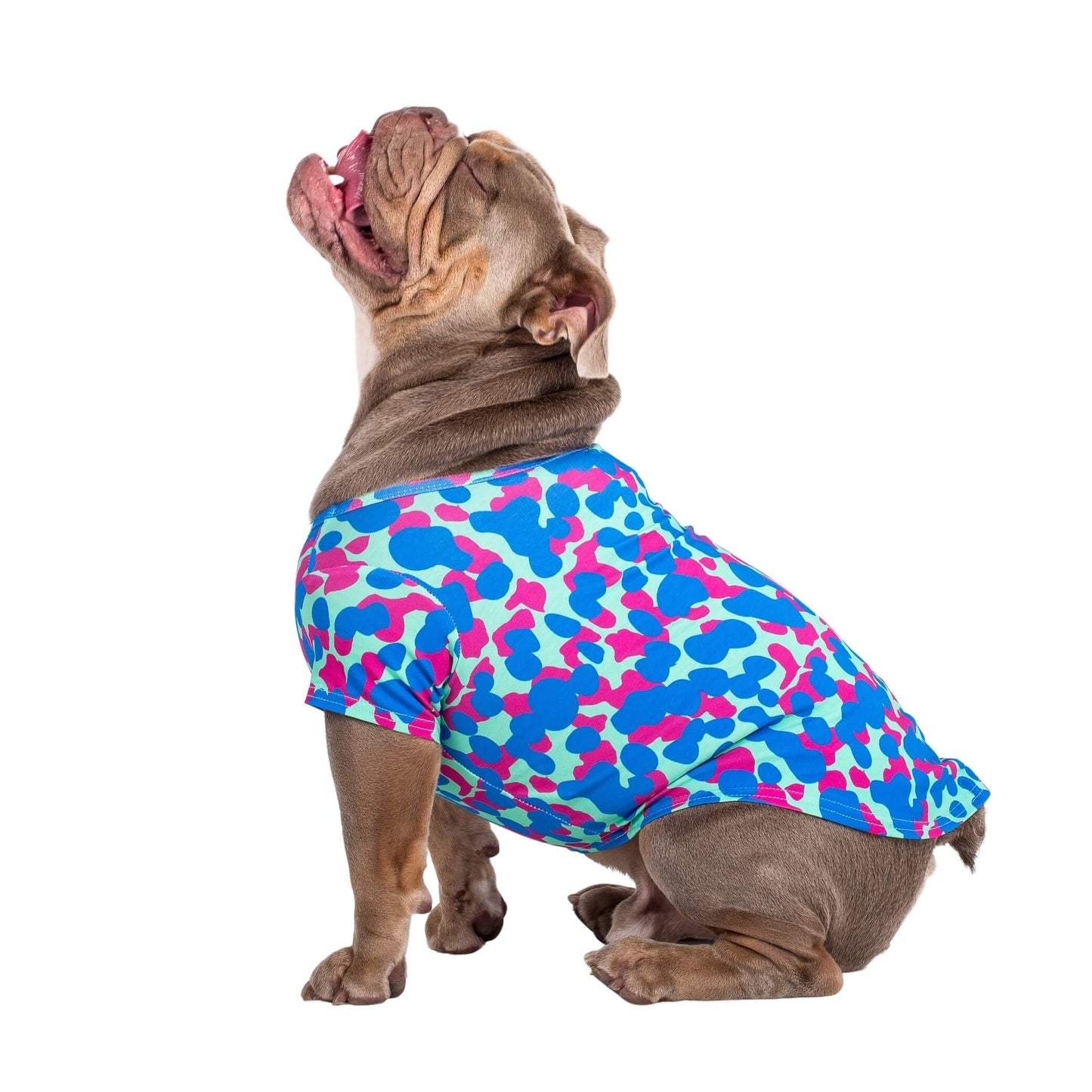 An English Bulldog standing side on to the camera. It is wearing a Painted on dog shirt made by Vibrant Hound. The print is pink and blue blobs.