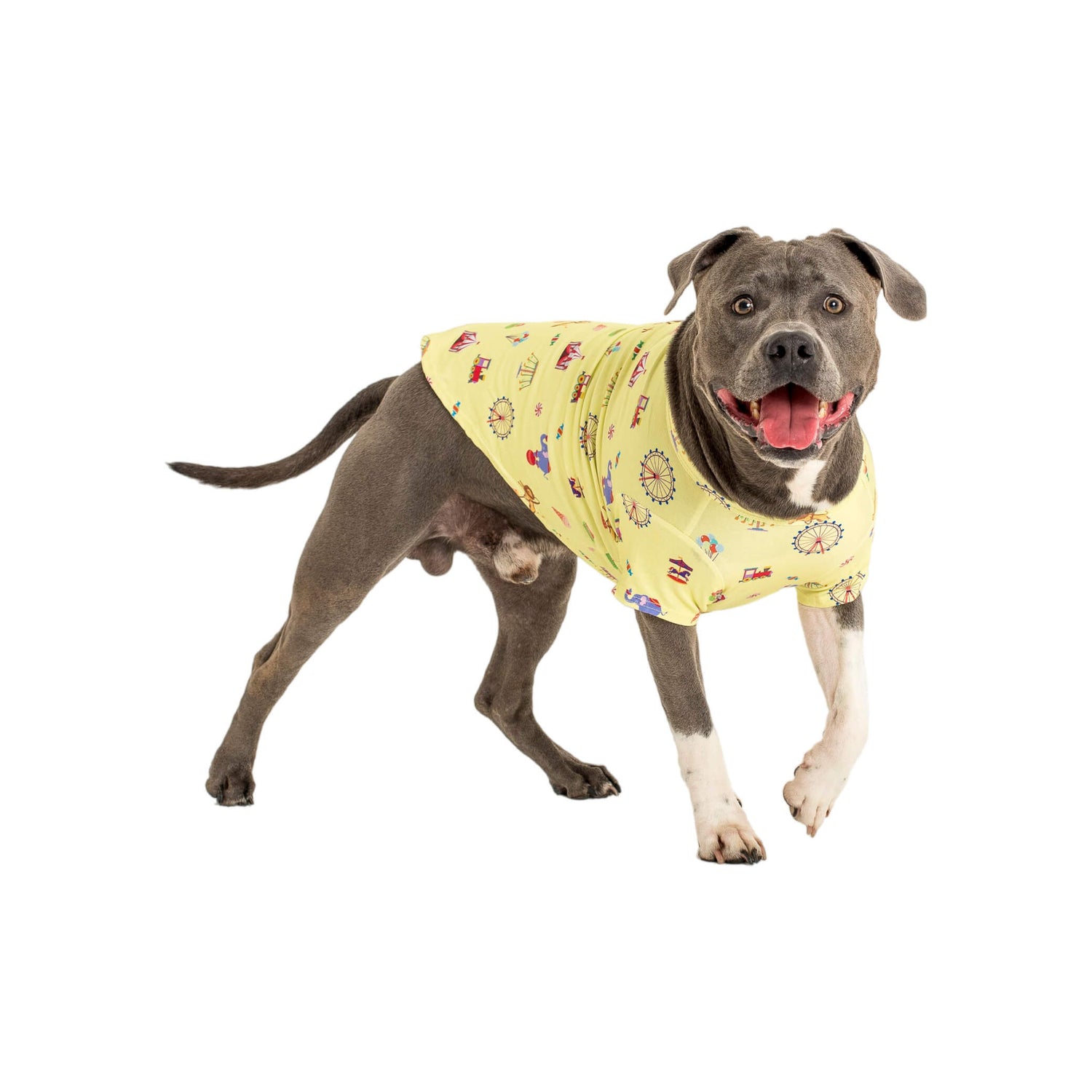 Luger the Staffy standing side on wearing a Vibrant Hound Admit one dog shirt. It has carnival theme printed on the dog clothing.