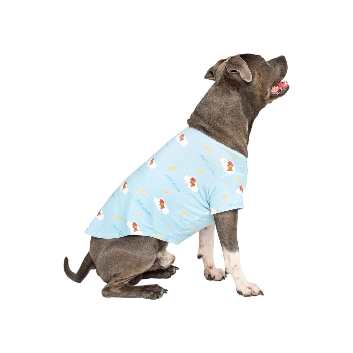 An American Staffy sitting side on wearing Vibrant Hounds Lil dreamer blue PJs for dogs.