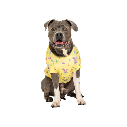 American Staffy wearing Vibrant Hound Easter Delight dog apparel. 
