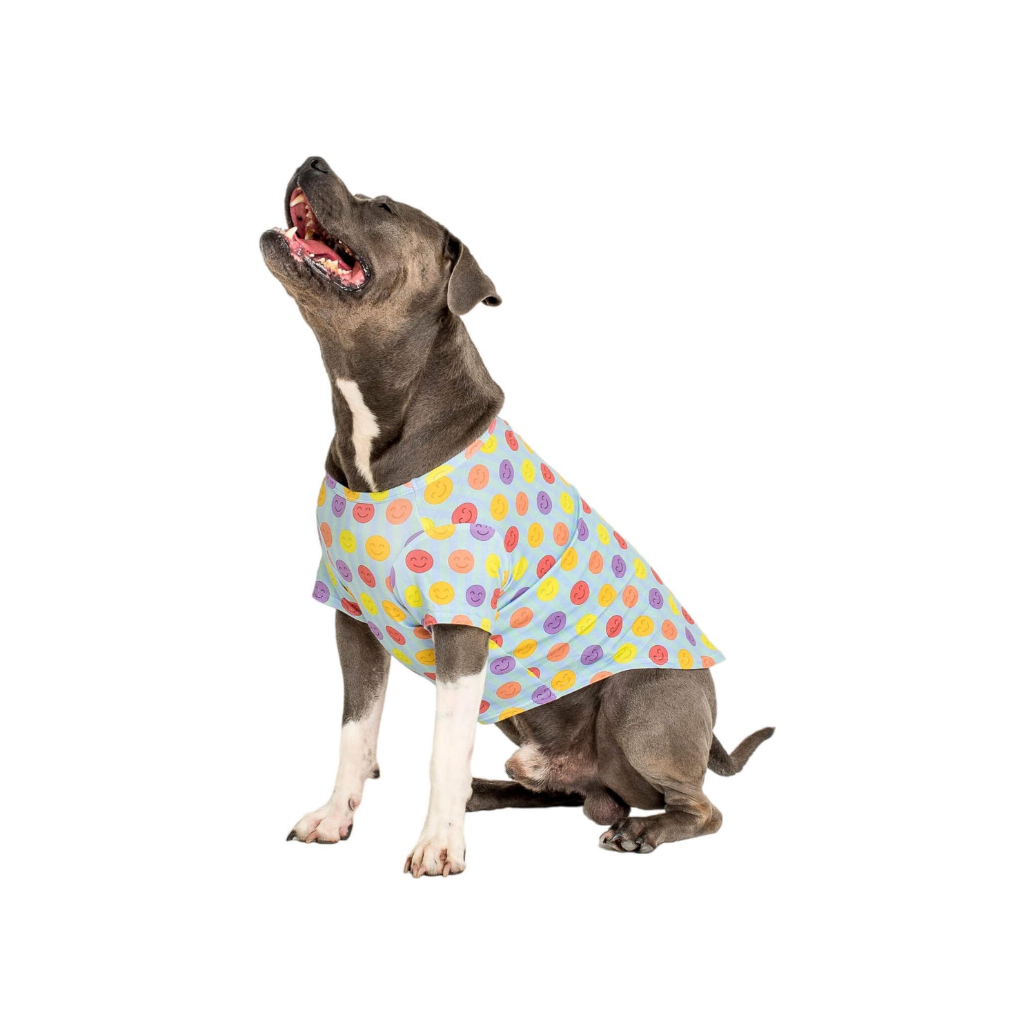 An american staffy  wearing a Vibrant Hound good vibes dog shirt. The shirt is light blue with bright multi coloured smiley faces.  Edit alt text