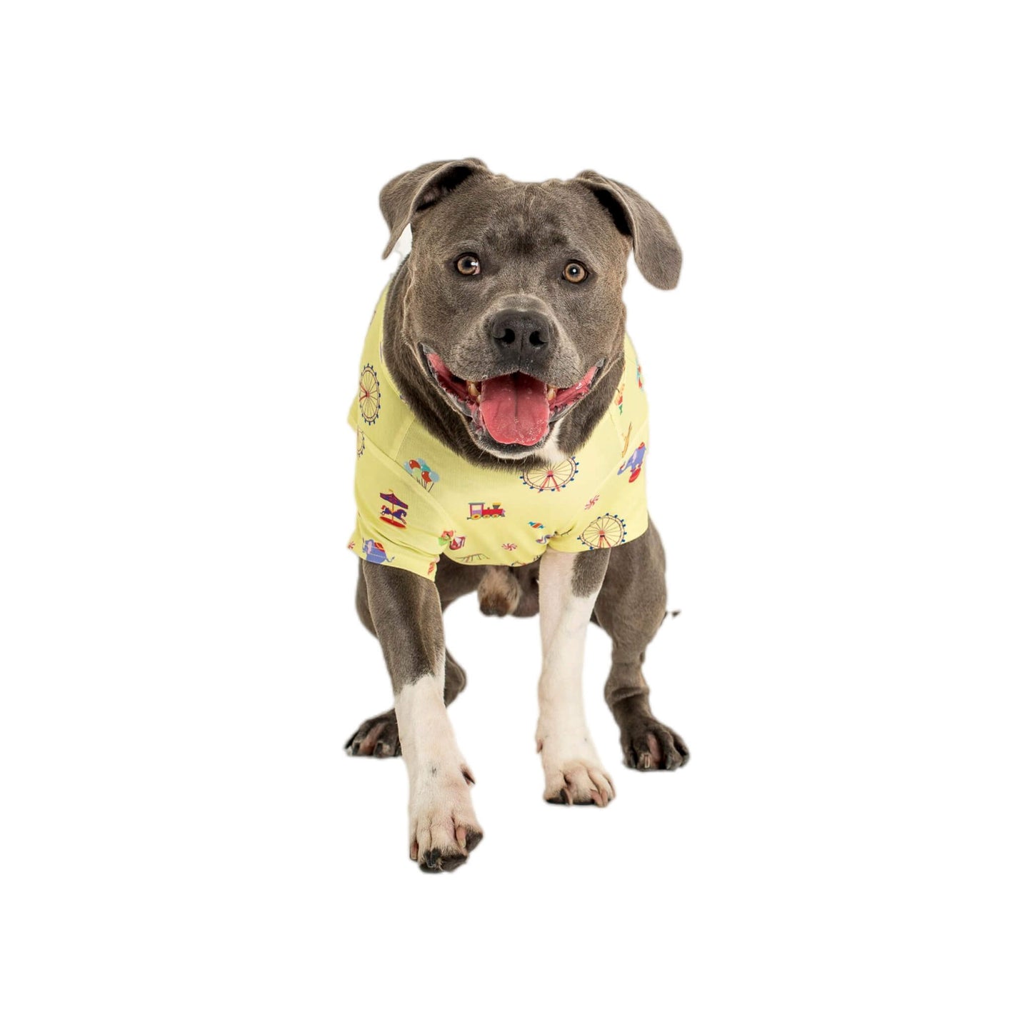 American Staffy wearing Vibrant Hound Admit one dog pyjamas