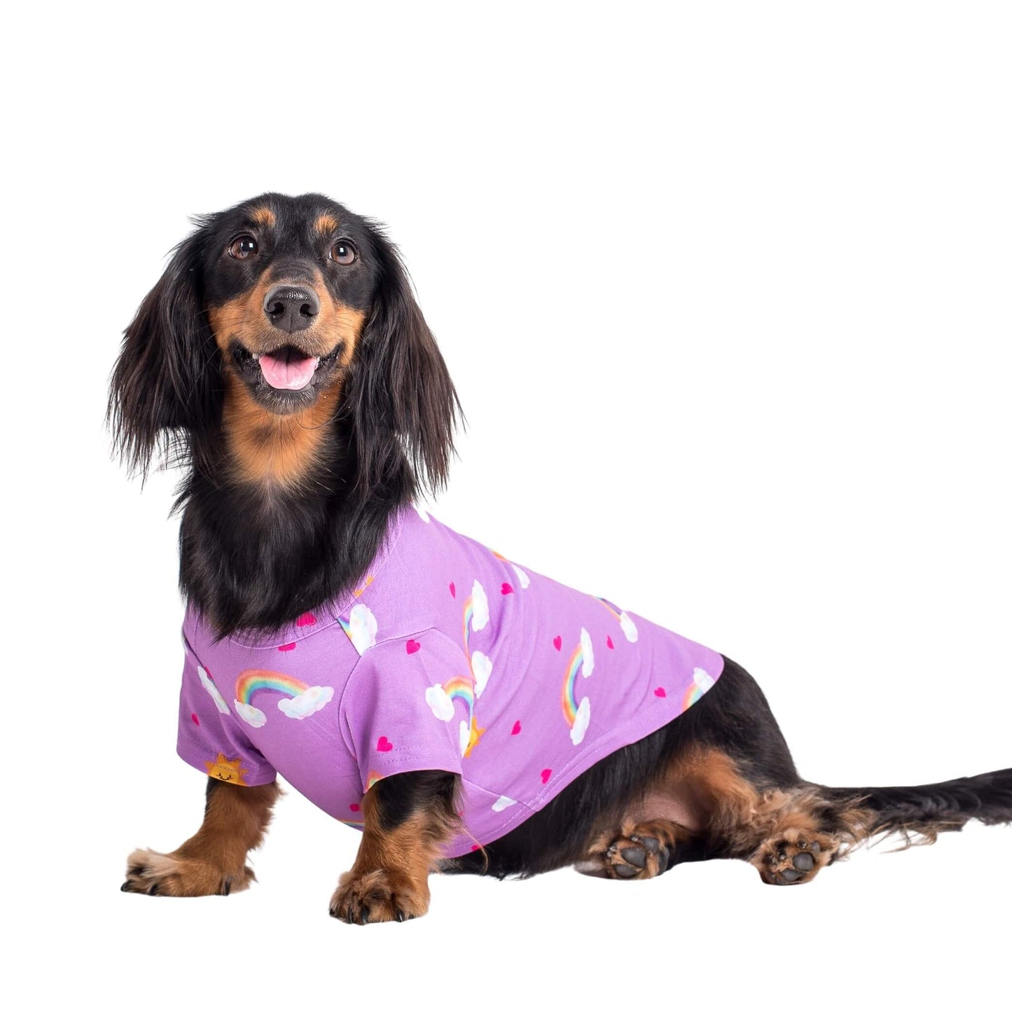 A Dachshund wearing Chasing Rainbows dog pyjamas made by Vibrant Hound. The Chasing Rainbows pyjama for dogs is purple, with rainbows, clouds, and red love hearts printed on it.