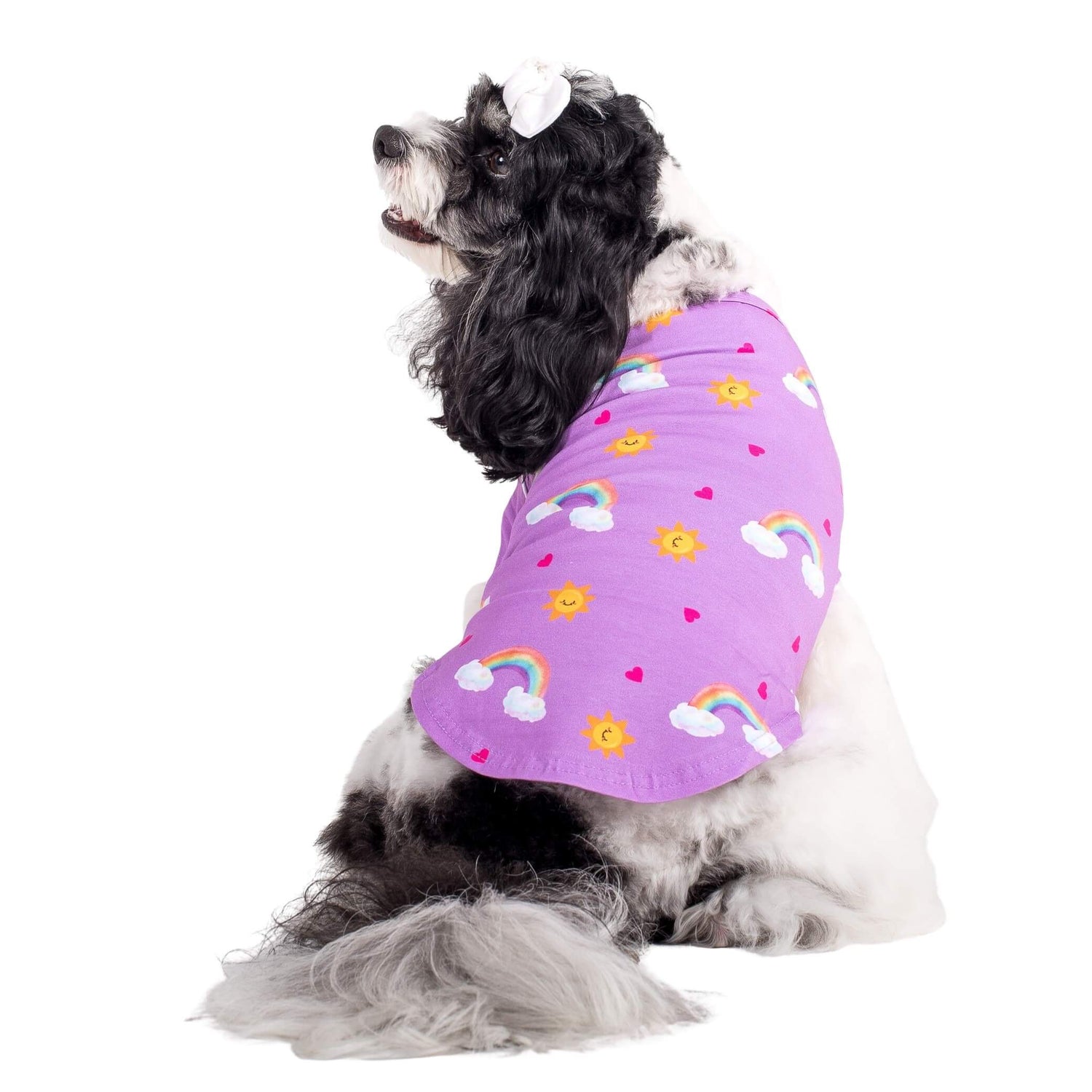 A cavoodle standing backwards wearing  Vibrant Hound's Chasing Rainbow dog pyjama. The dog shirt is purple with rainbows, bright suns, and love hearts printed on it.