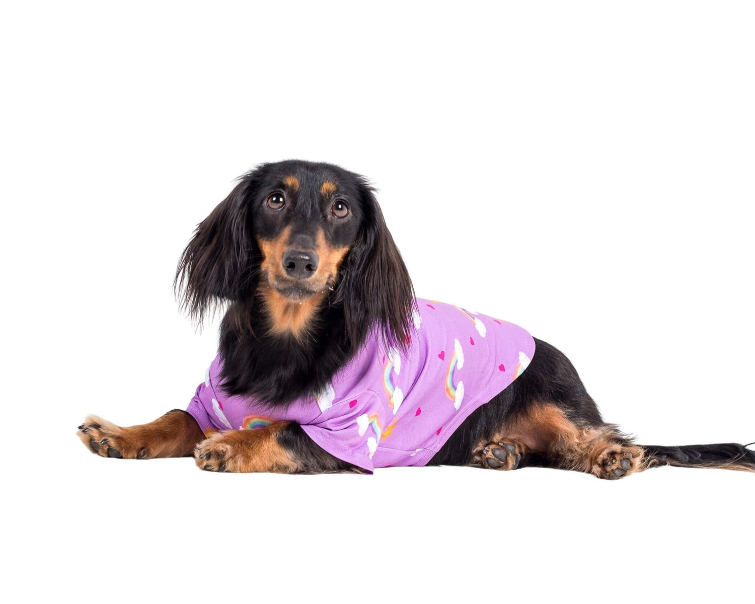 Ellie the Dachshund layng down wearing Vibrant Hound's Chasing Rainbow dog pyjama. The dog shirt is purple with rainbows, bright suns, and love hearts printed on it.