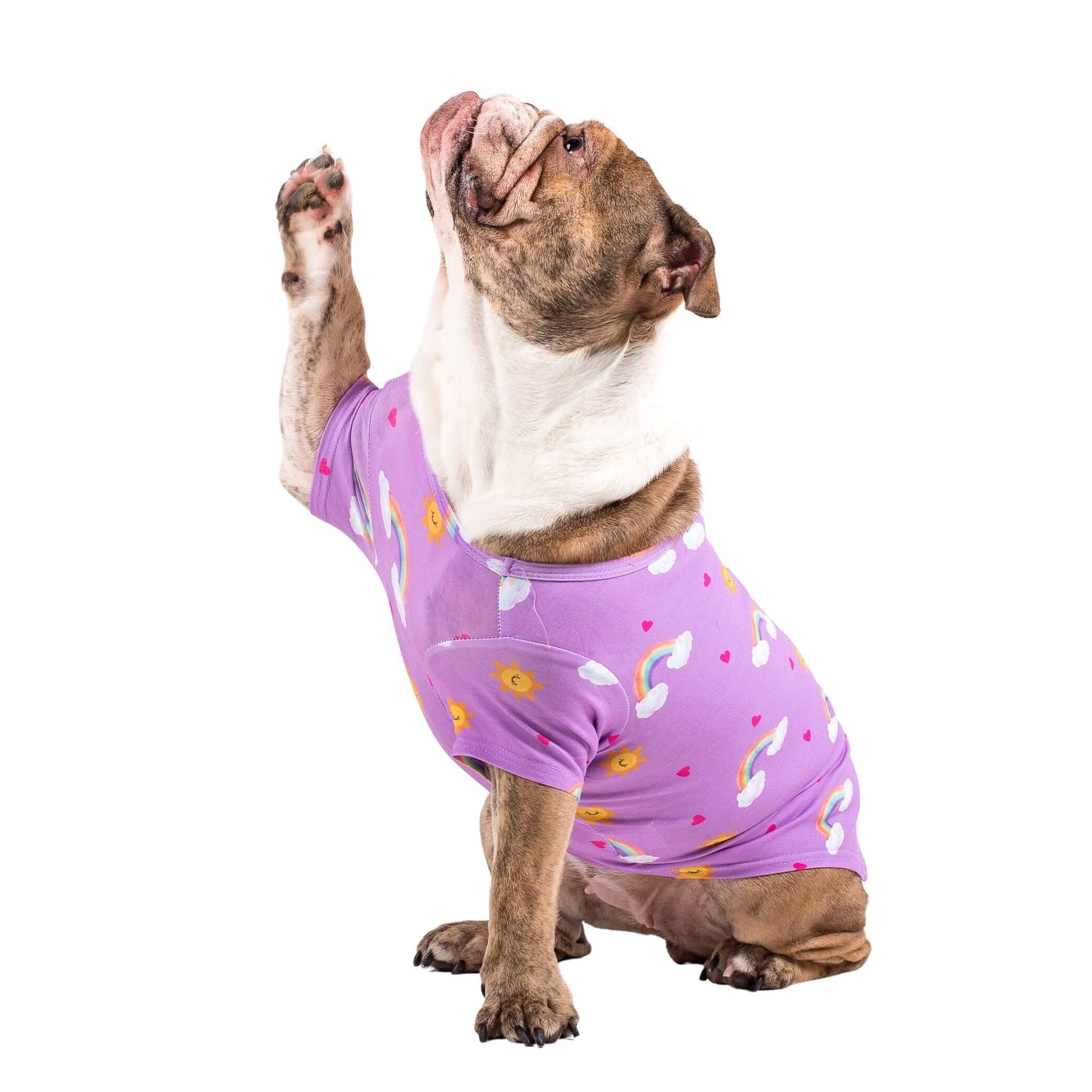 A English Bulldog with a paw in the air wearing Vibrant Hound's Chasing Rainbow dog pyjama. The dog shirt is purple with rainbows, bright suns, and love hearts printed on it.