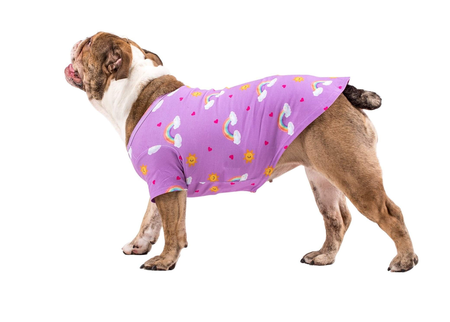 An English Bulldog standing side on wearing Vibrant Hound's Chasing Rainbow dog pyjama. The dog shirt is purple with rainbows, bright suns, and love hearts printed on it.