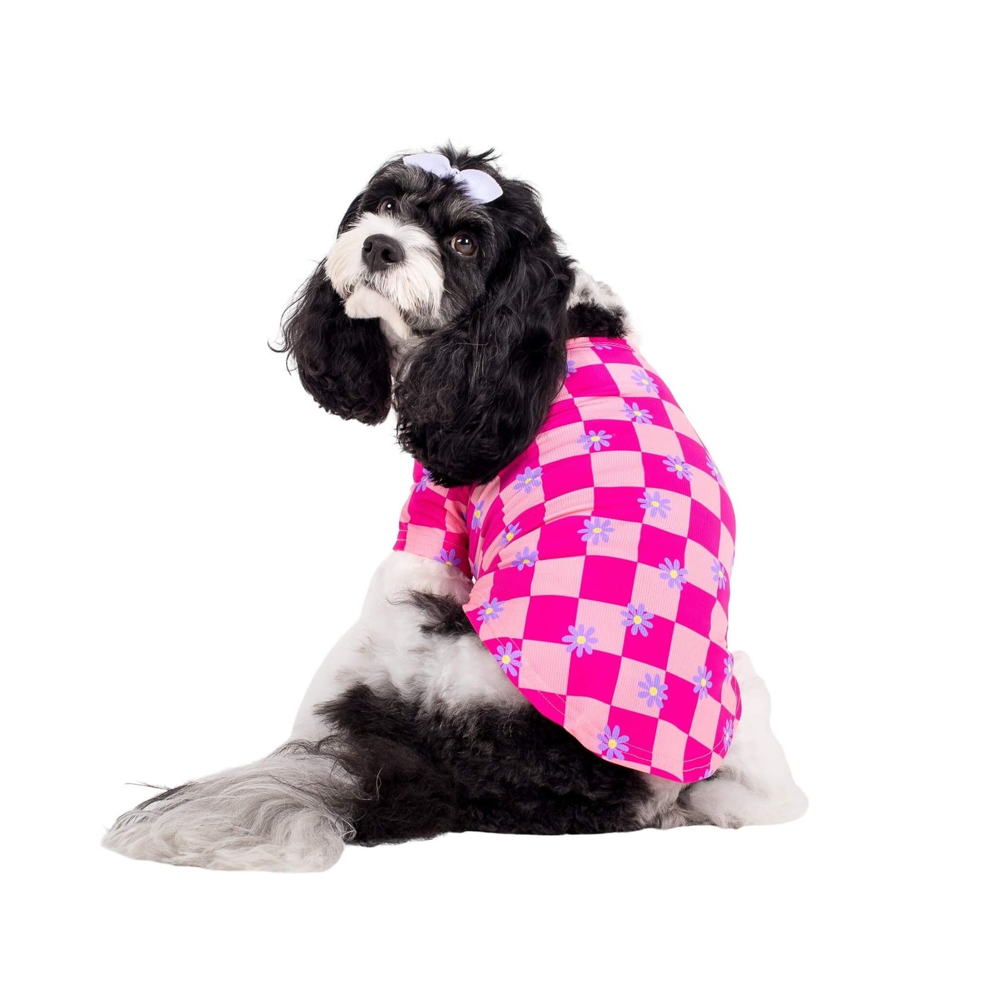 Cavoodle facing away wearing Vibrant Hounds Crazy Daisy cooling shirt for dogs. It is pink chequered with daisys printed on it.