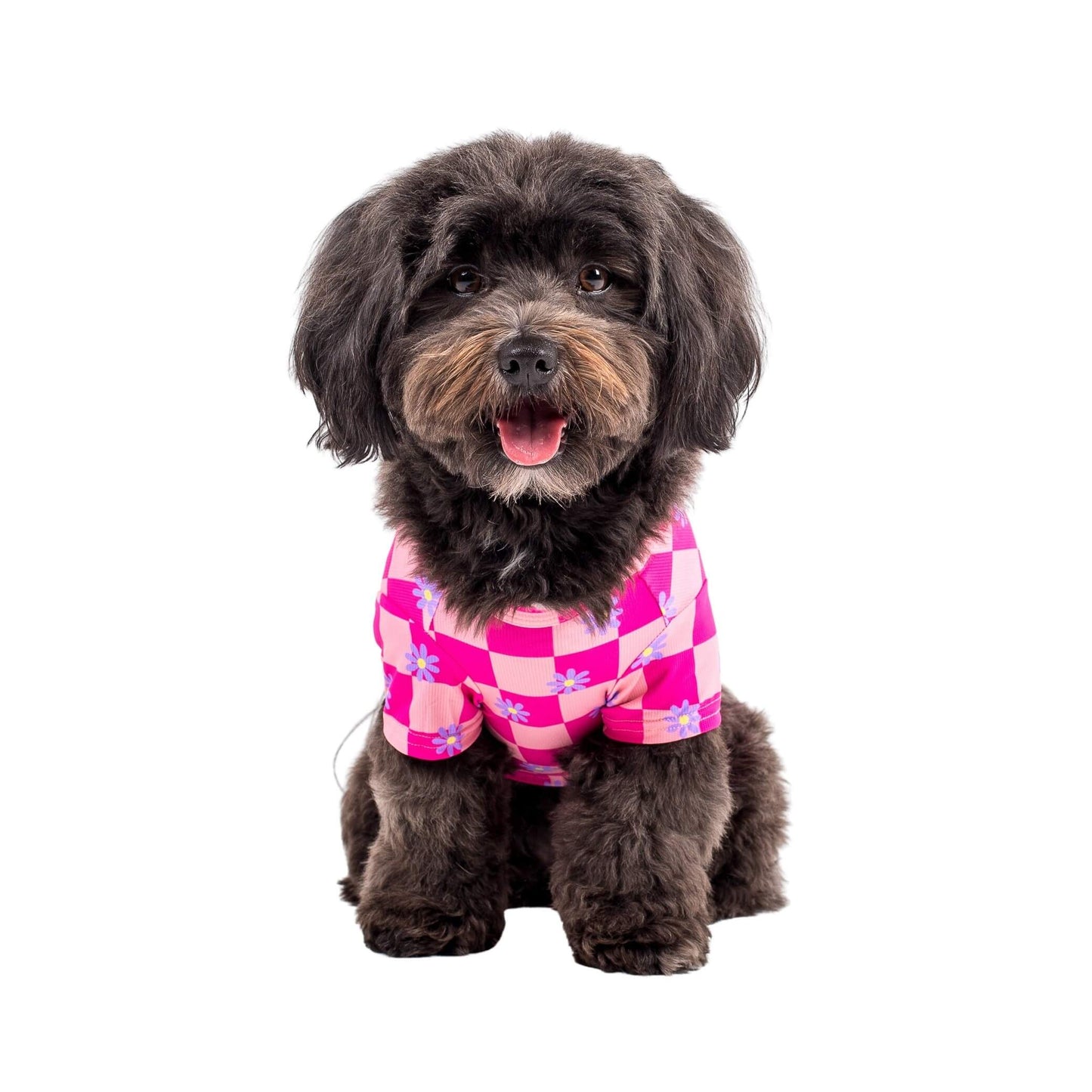 Havanese dog wearing Vibrant Hounds Crazy Daisy cooling shirt for dogs. It is pink chequered with daisys printed on it.