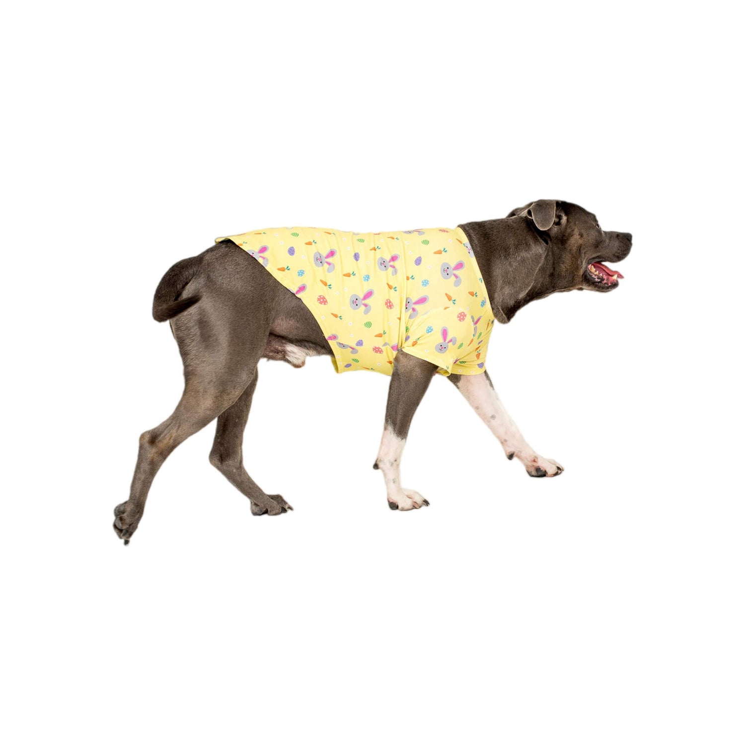 Side profile of American Staffy wearing Vibrant Hound Easter dog pyjamas