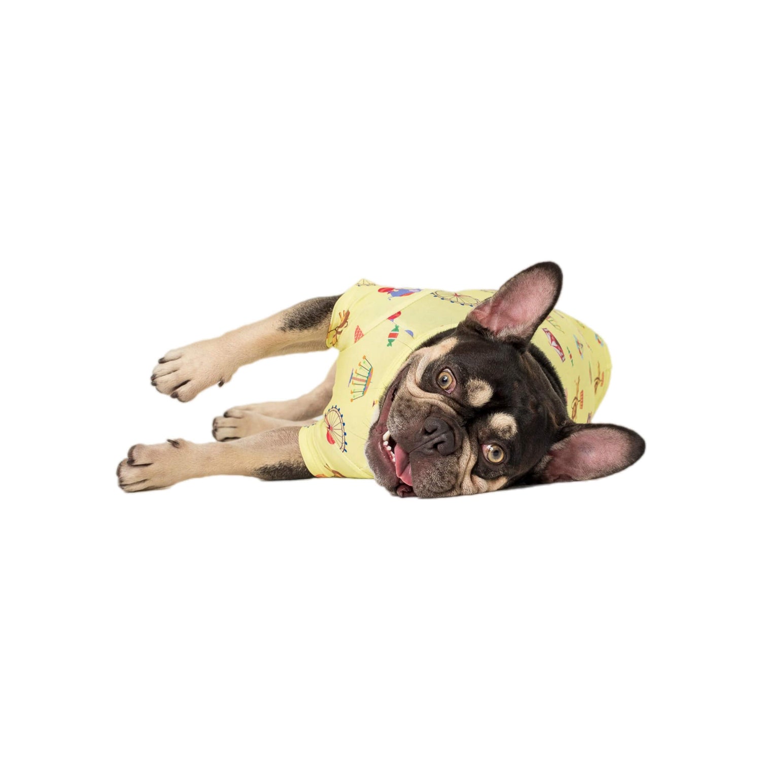 Fergus the French Bulldog aying down wearing a Vibrant Hound Admit one dog shirt. It has carnival theme printed on the dog clothing.