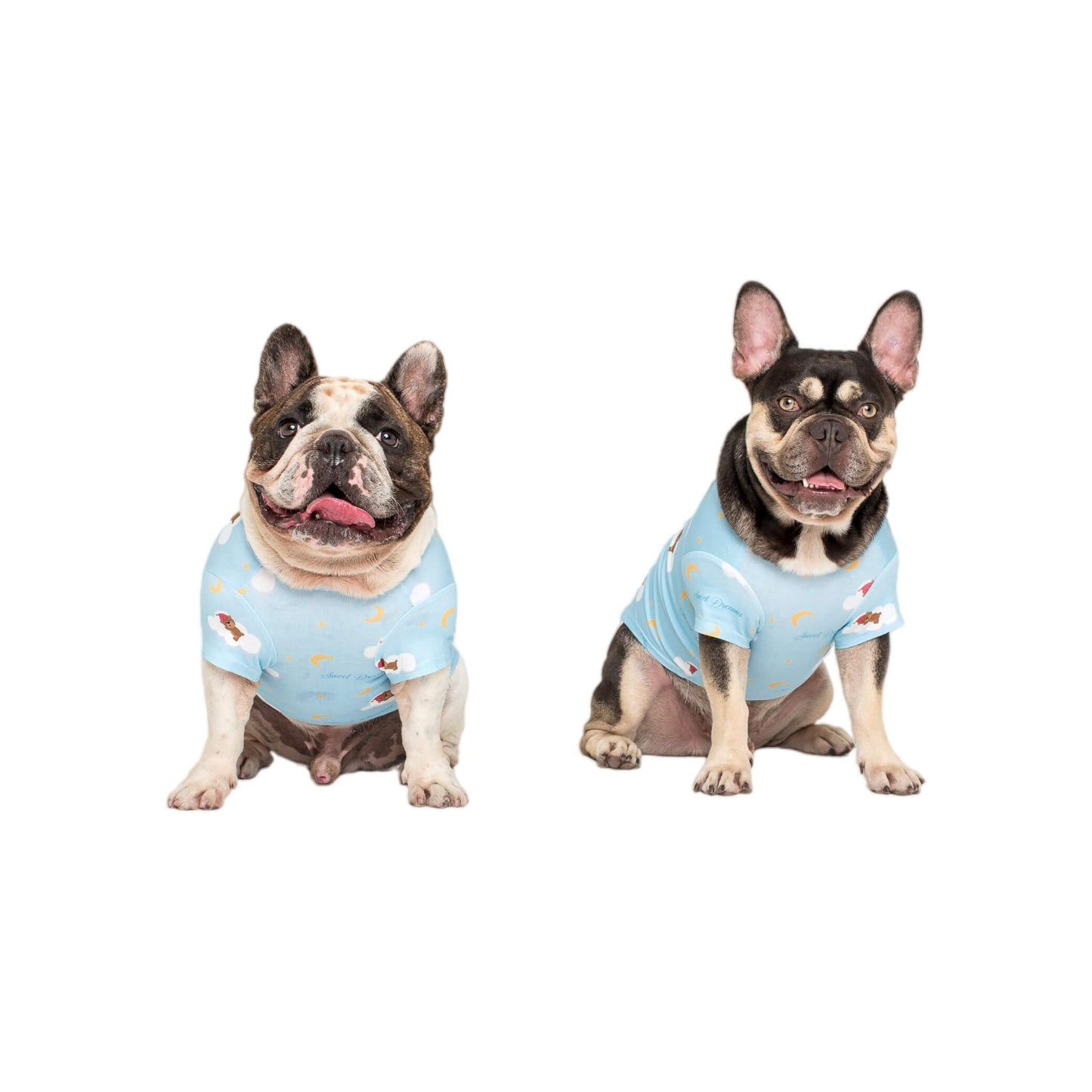 One brindle French Bulldog and one chocolate and tan French Bulldog wearing Vibrant Hound Lil Dreamer pyjamas for dogs.