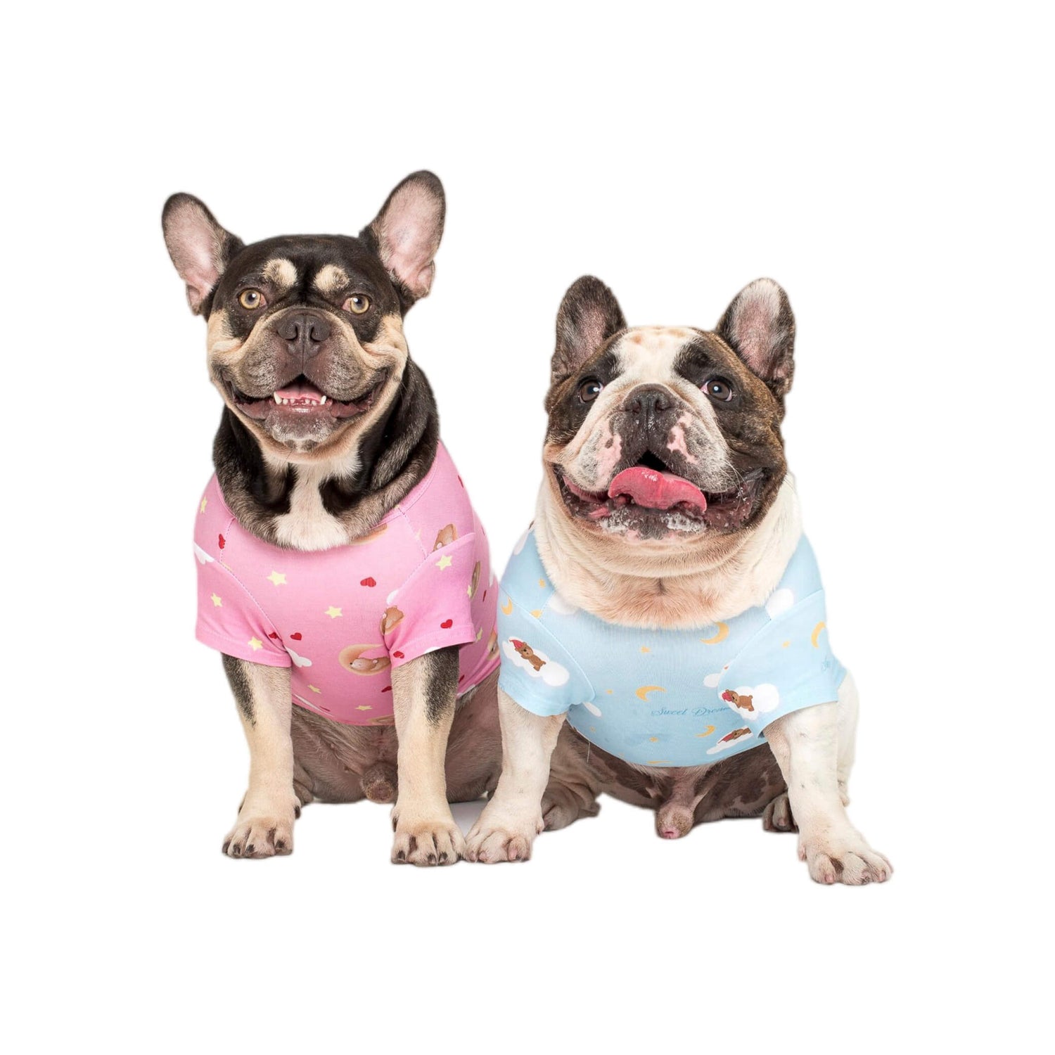 A close up of two French Bulldogs wearing Vibrant Hound's Lil dreamer pink and Lil dreamer blue pyjamas for dogs.