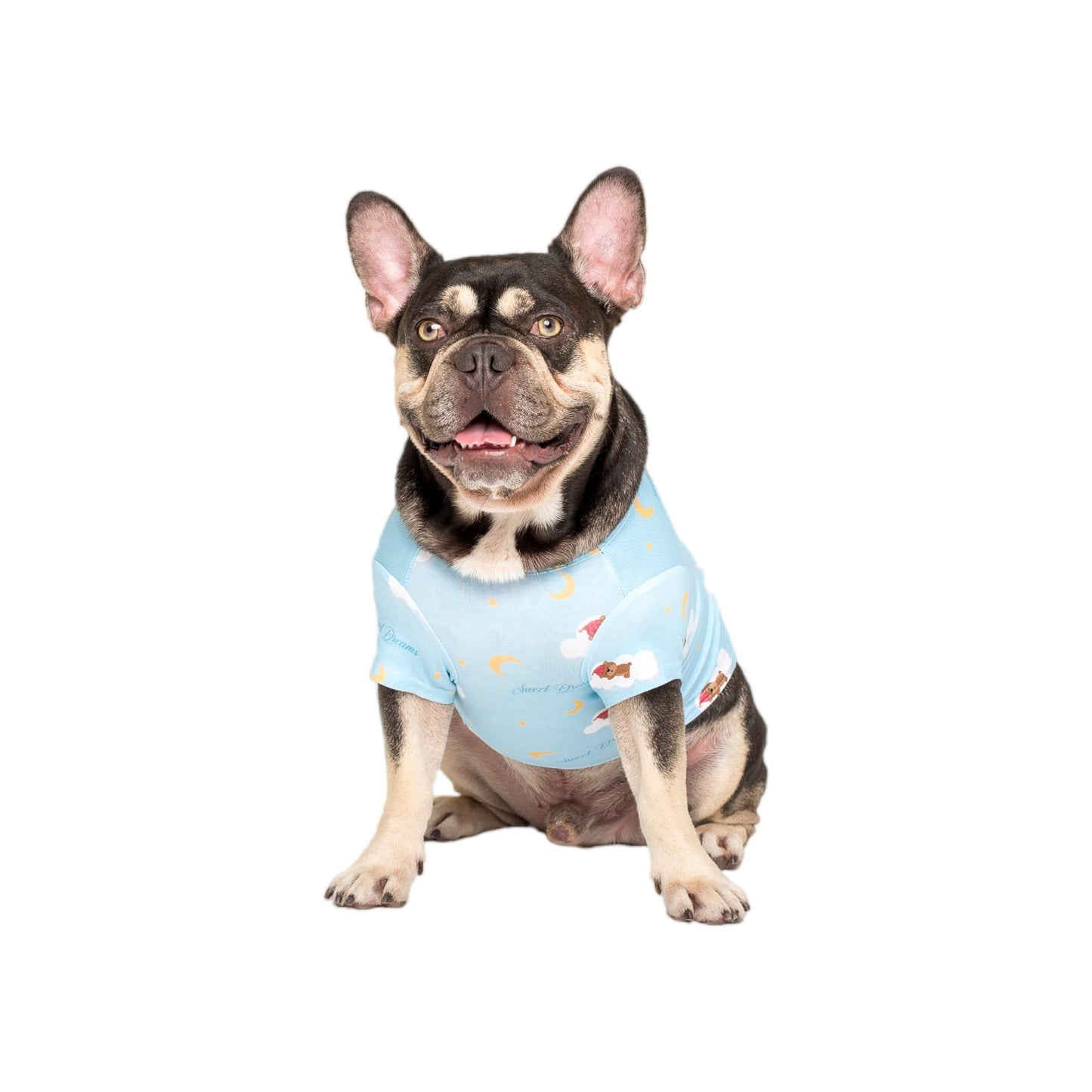 Fergus the French Bulldog wearing Vibrant Hound's lil dreamer blue pyjamas for dogs.