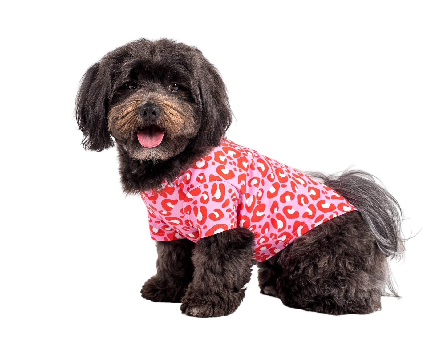ピンクの犬のパジャマで激しい