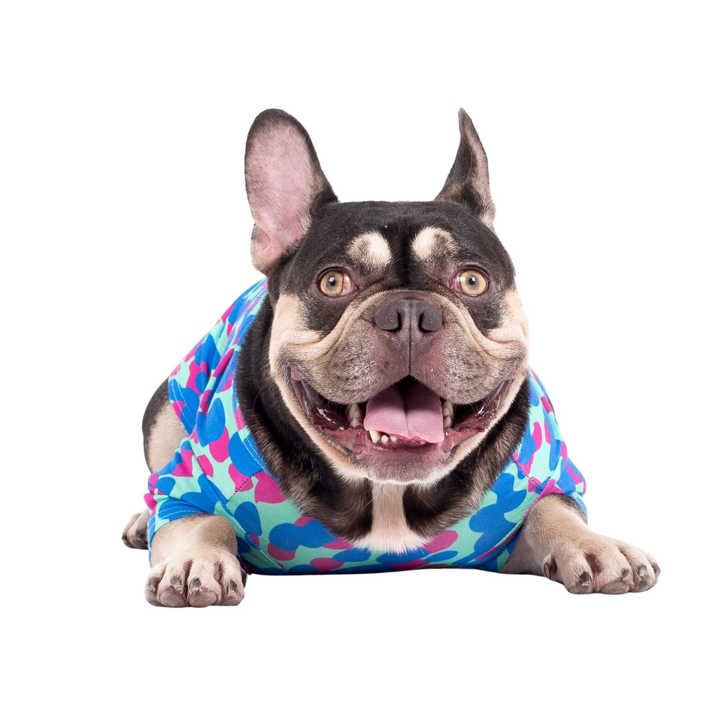 Fergus the French Bulldog laying down wearing Vibrant Hounds Painted on dog pyjamas.