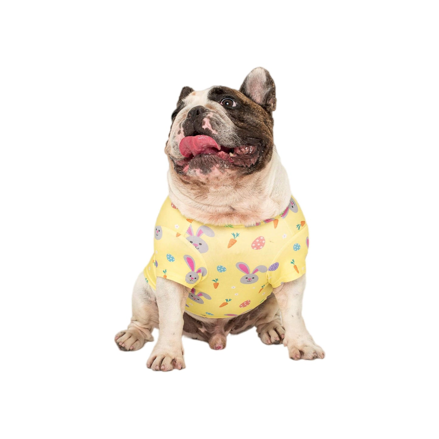 Chester the French Bulldog wearing Vibrant Hound - dog pyjamas
