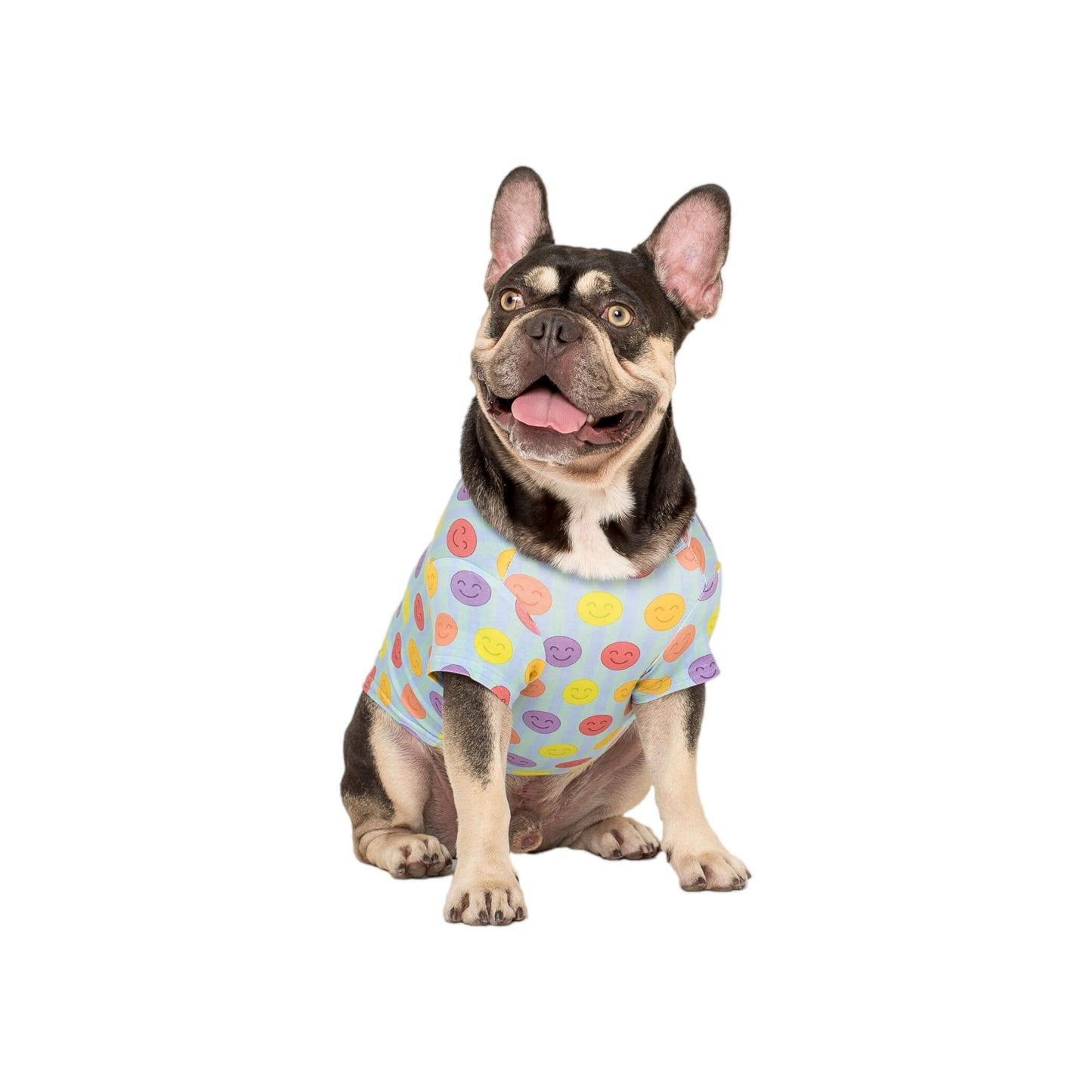 A French Bulldog wearing a Vibrant Hound good vibes dog shirt. The shirt is light blue with bright multi coloured smiley faces.  Edit alt text