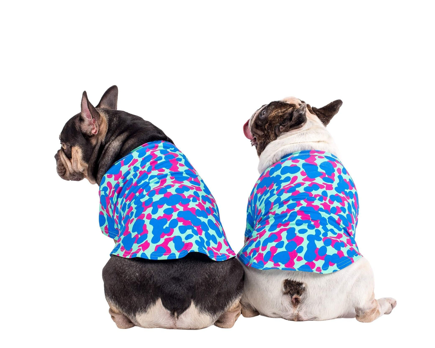 Chester and Fergus the French Bulldogs facing away from the camera wearing Vibrant Hounds Painted on dog tee.