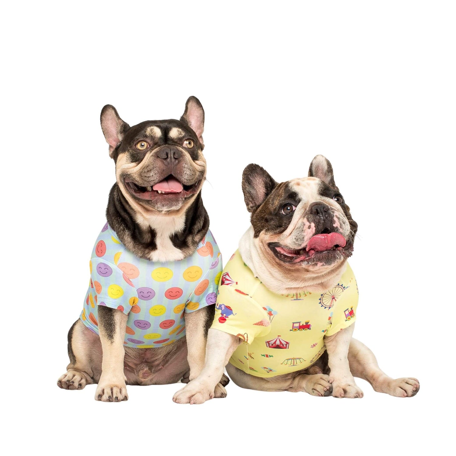 Two French Bulldogs wearing Vibrant Hound dog shirts. The Good Vibes dog shirt is covered in bright smiley faces.