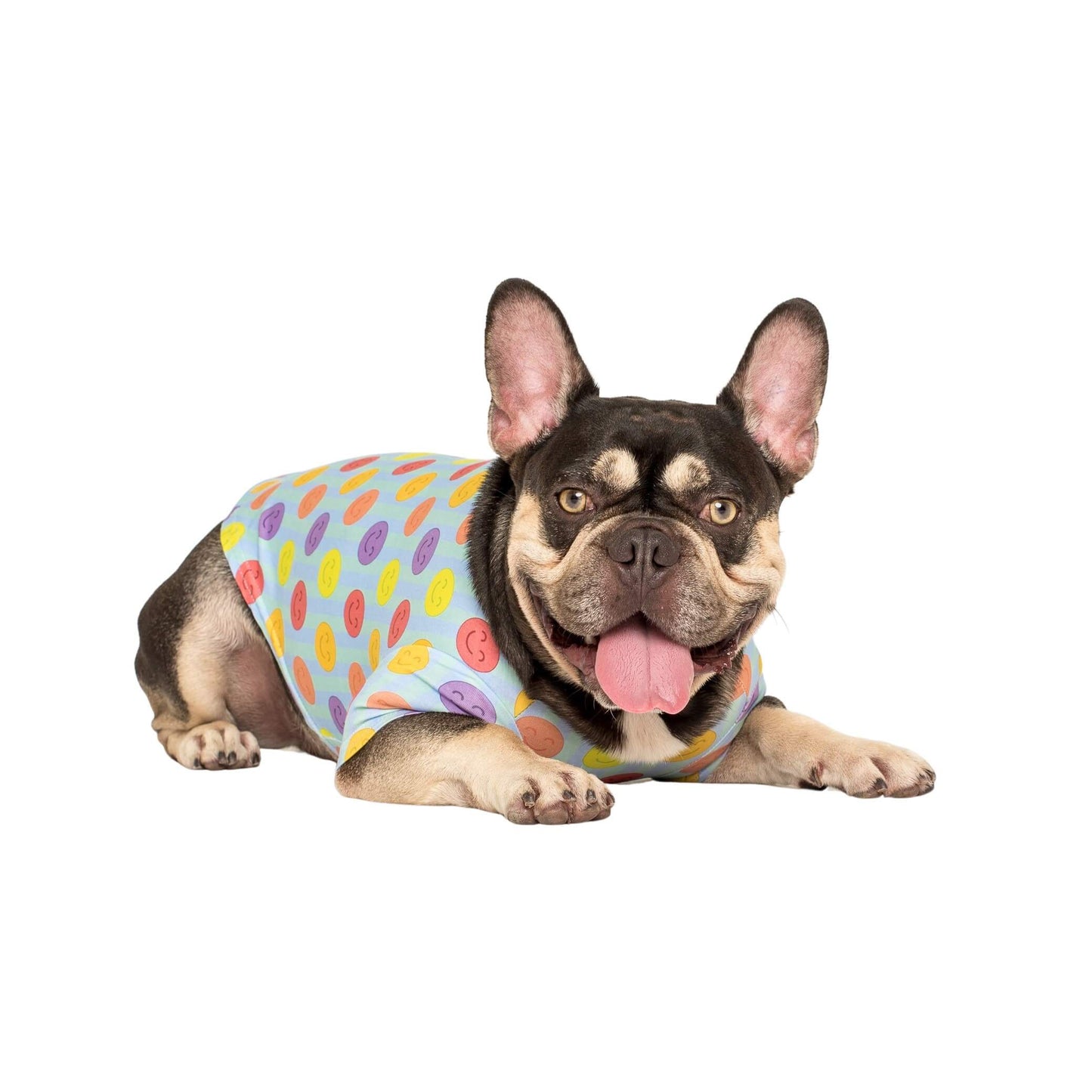 A French Bulldog wearing a Vibrant Hound dog shirt,.