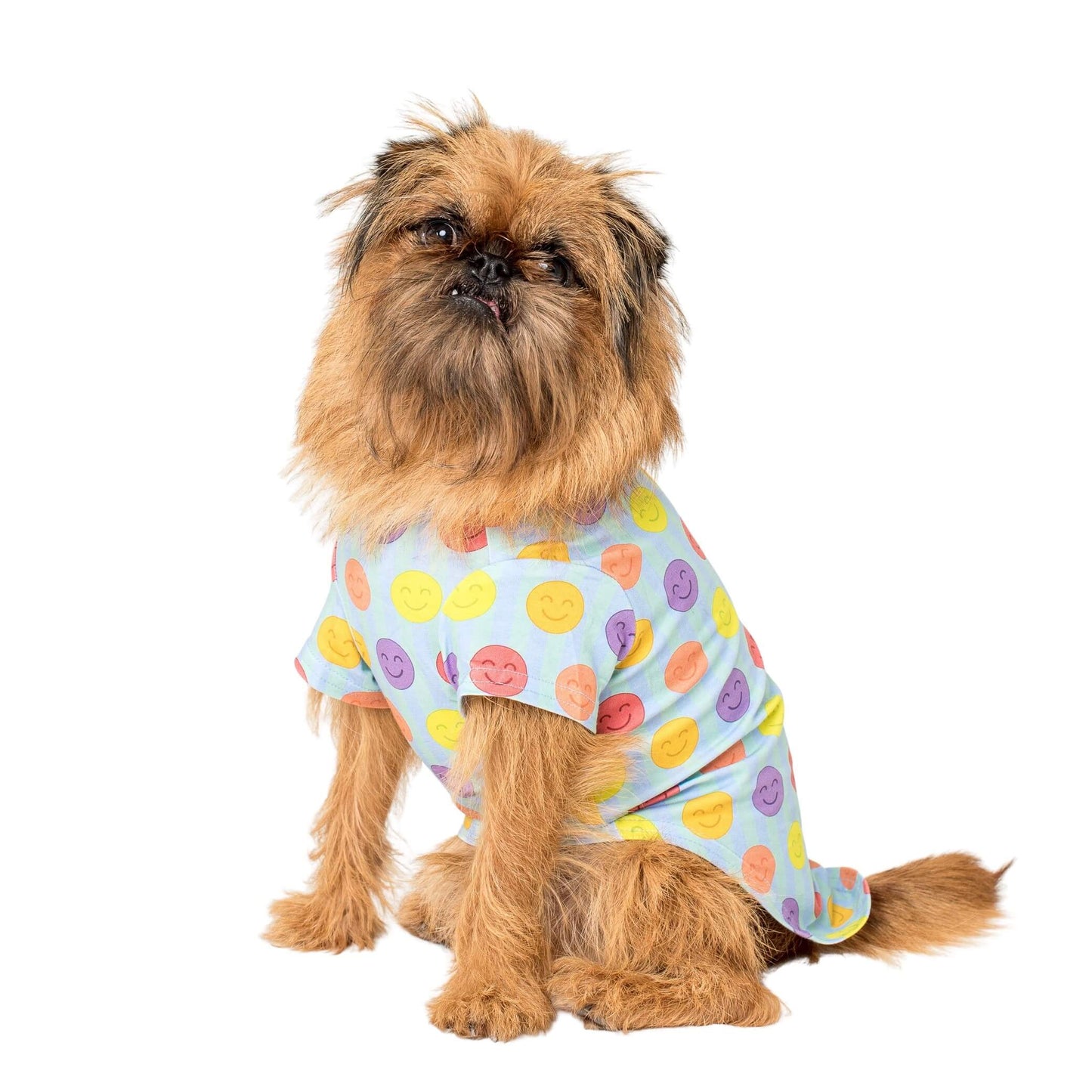 A Griffon dog  wearing a Vibrant Hound good vibes dog shirt. The shirt is light blue with bright multi coloured smiley faces.  Edit alt text