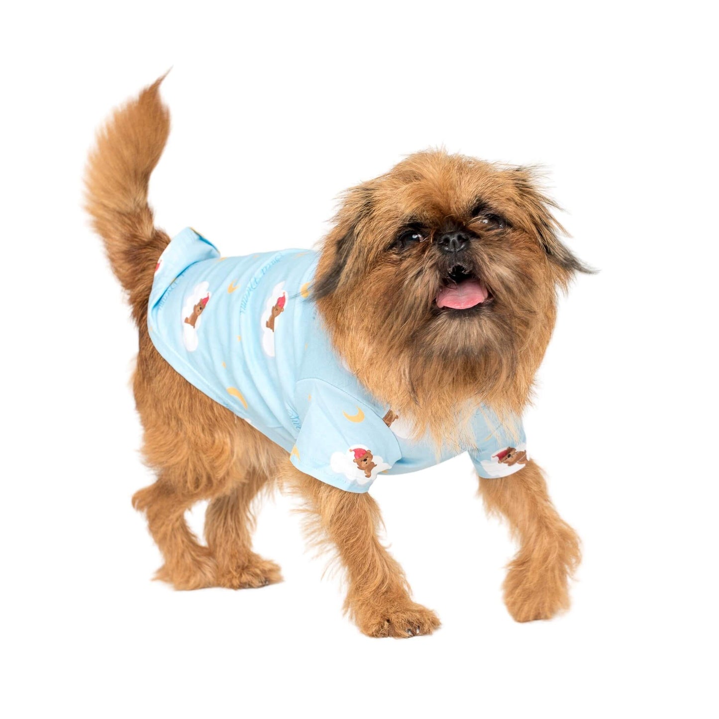 Gromit the Griffon standing front on wearing lil dreamer blue pyjamas for dogs.