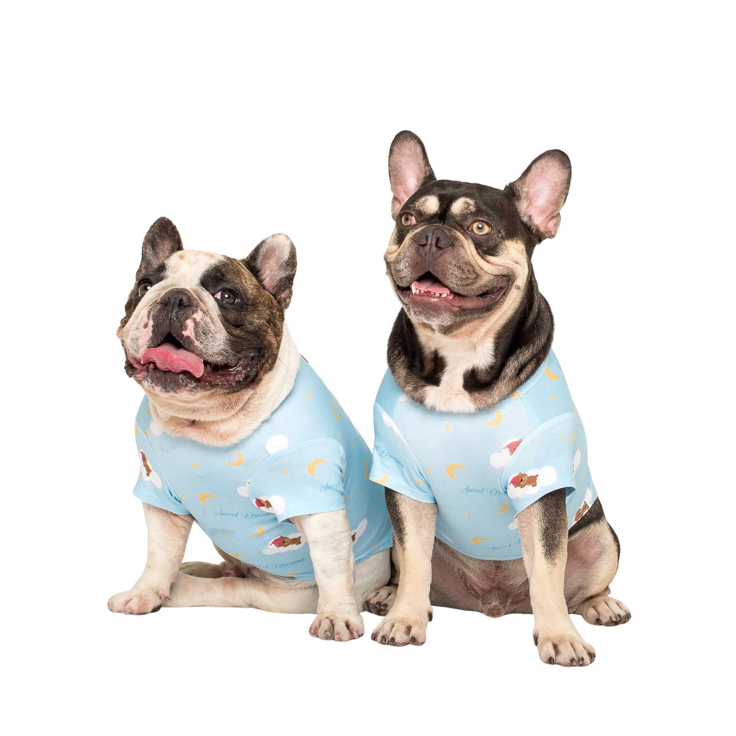Two French bulldogs wearing Vibrant Hound little dreamer pyjamas.