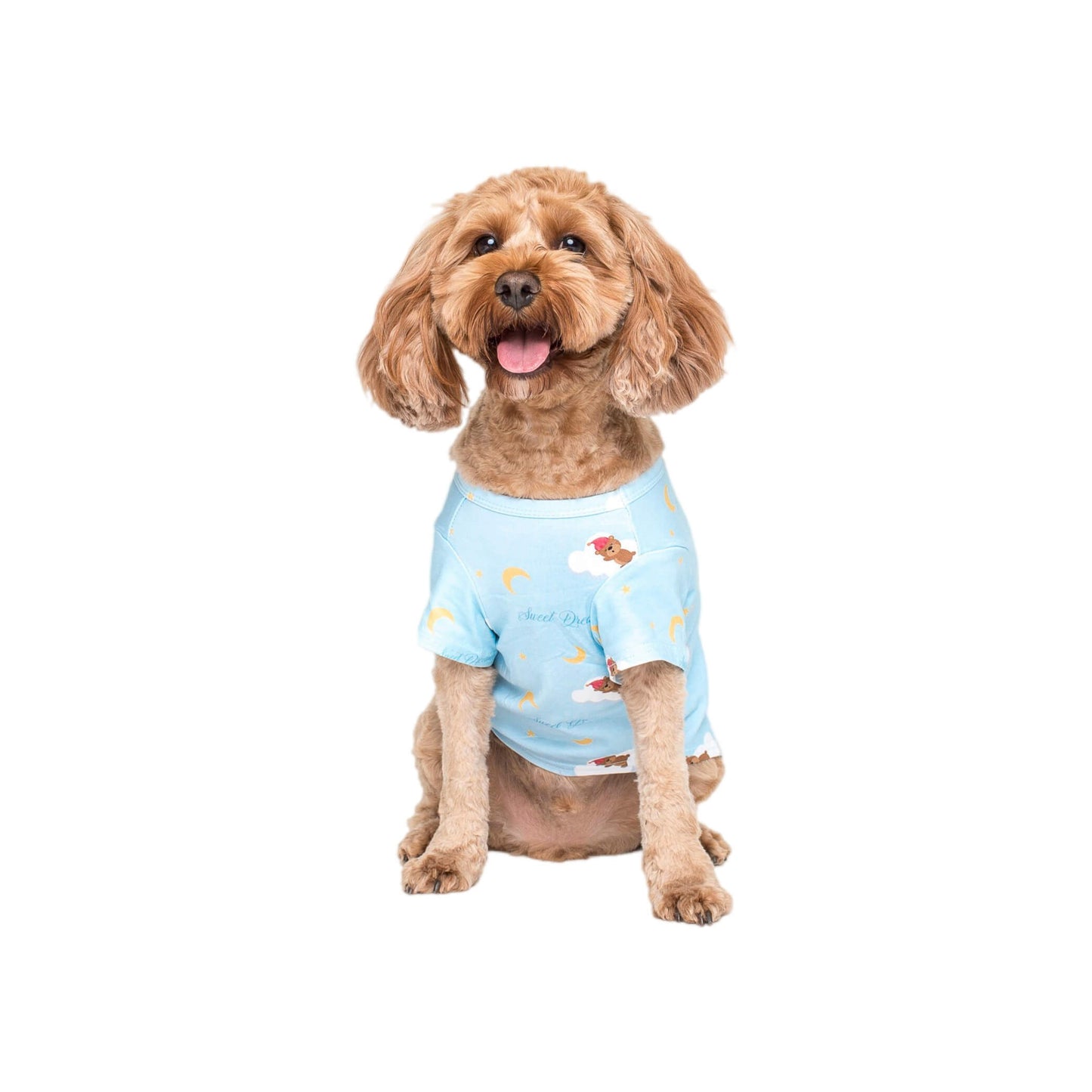 A Cavoodle dog wearing Vibrant Hound Lil dreamer dog pyjamas. The dog pyjamas are blue with teddy bears floating on clouds.