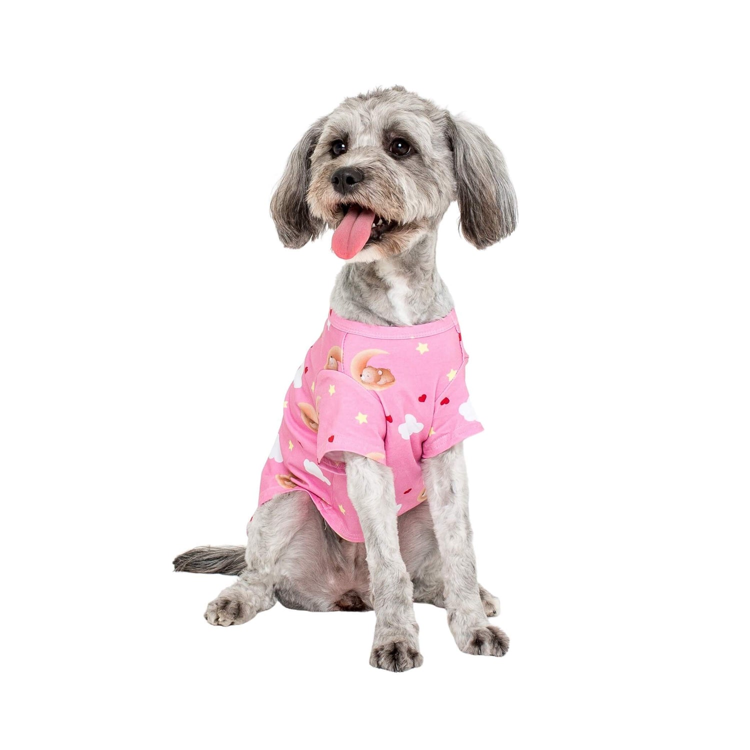 A Cavoodle sitting down wearing Vibrant Hound's Lil dreamer pink dog pyjama. 