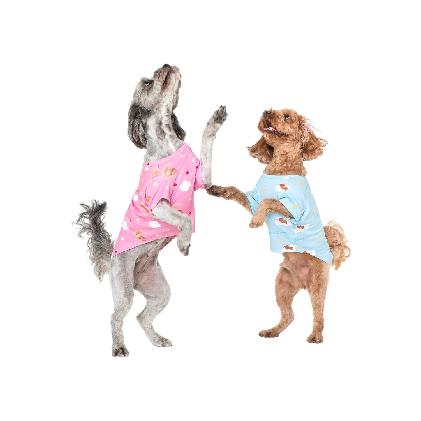 Two cavoodles jumping into the air. They are wearing Vibrant Hounds Lil dreamer blue and pink dog sleep range.