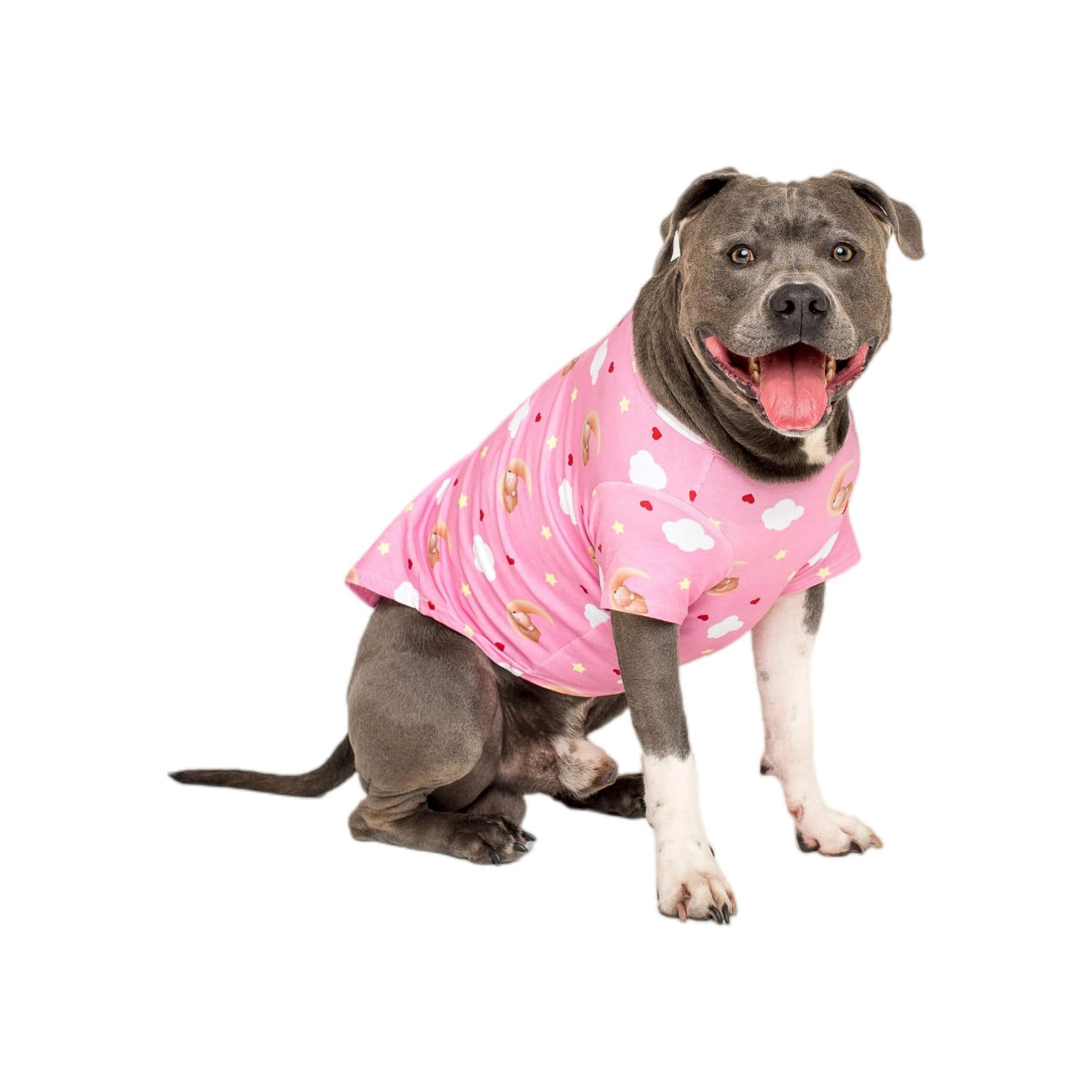 An American staffy sitting down wearing Vibrant Hound's Lil Dreamer dog sleep apparel range.