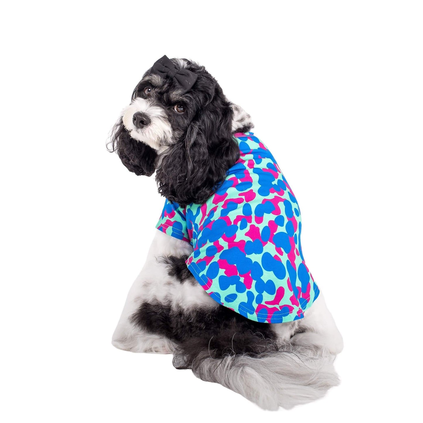 A Cavoodle facing back on to the camera. It is wearing a Painted on dog shirt made by Vibrant Hound. The print is pink and blue blobs.