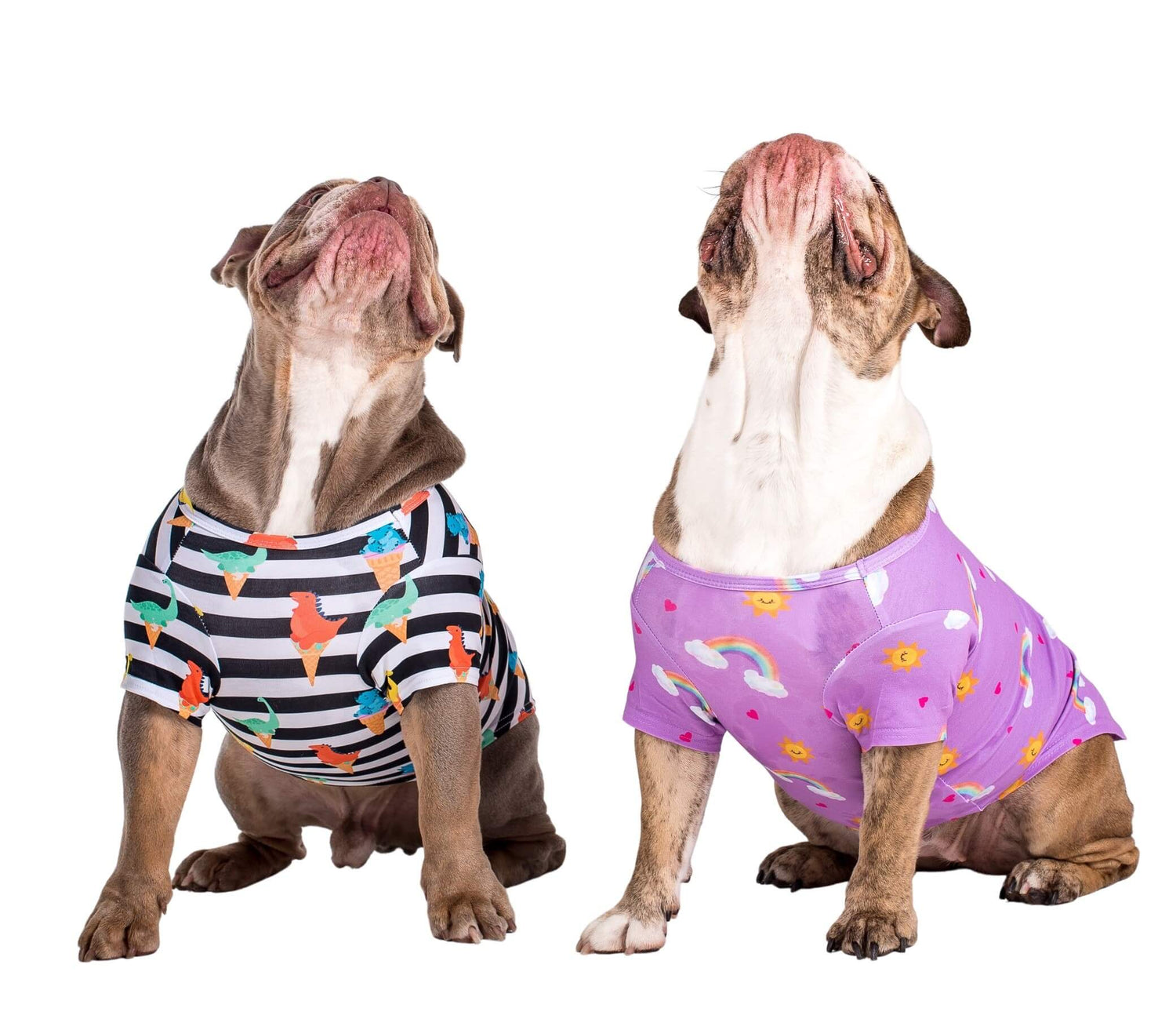 Two English bulldogs wearing dog clothing made by Vibrant Hound. One is a black and white stripped shirt swith dinosaurs printed on it, and the other dog shirt is purple with rainbows, clouds, and suns printed on it.